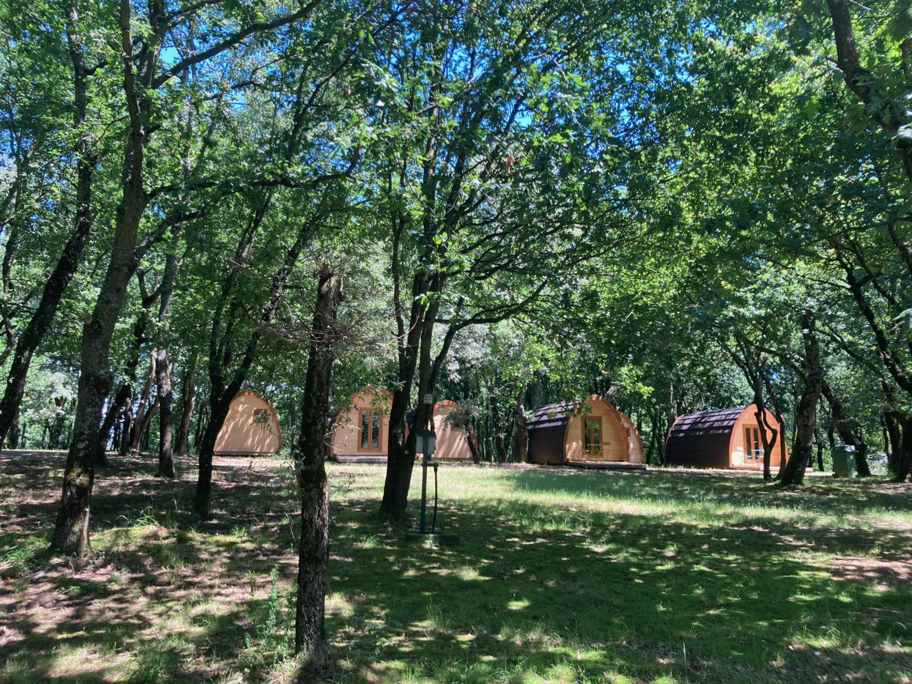 Superior Bungalow - Photo 8