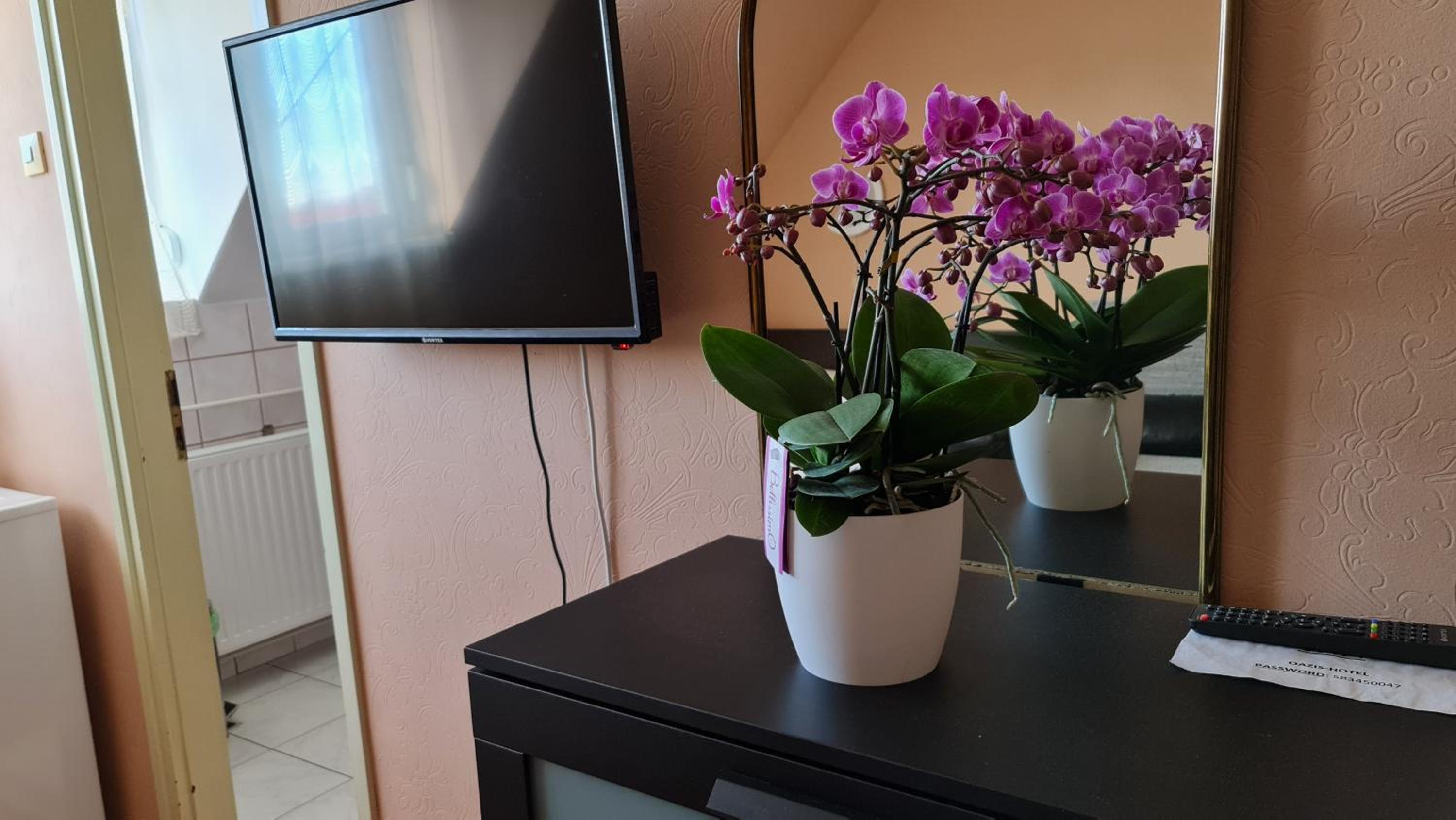 Family Room photo 1