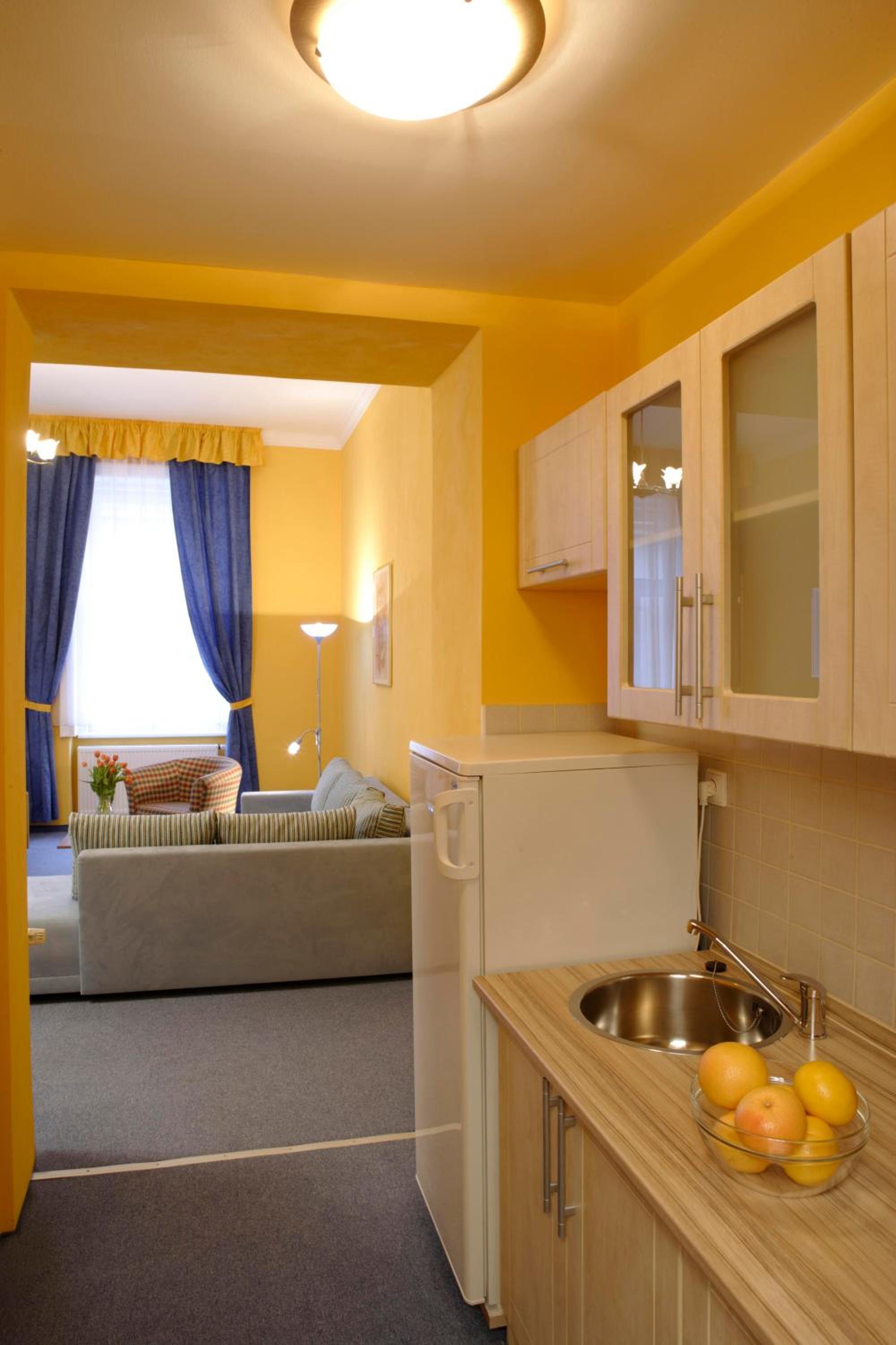 One-Bedroom Apartment photo 3