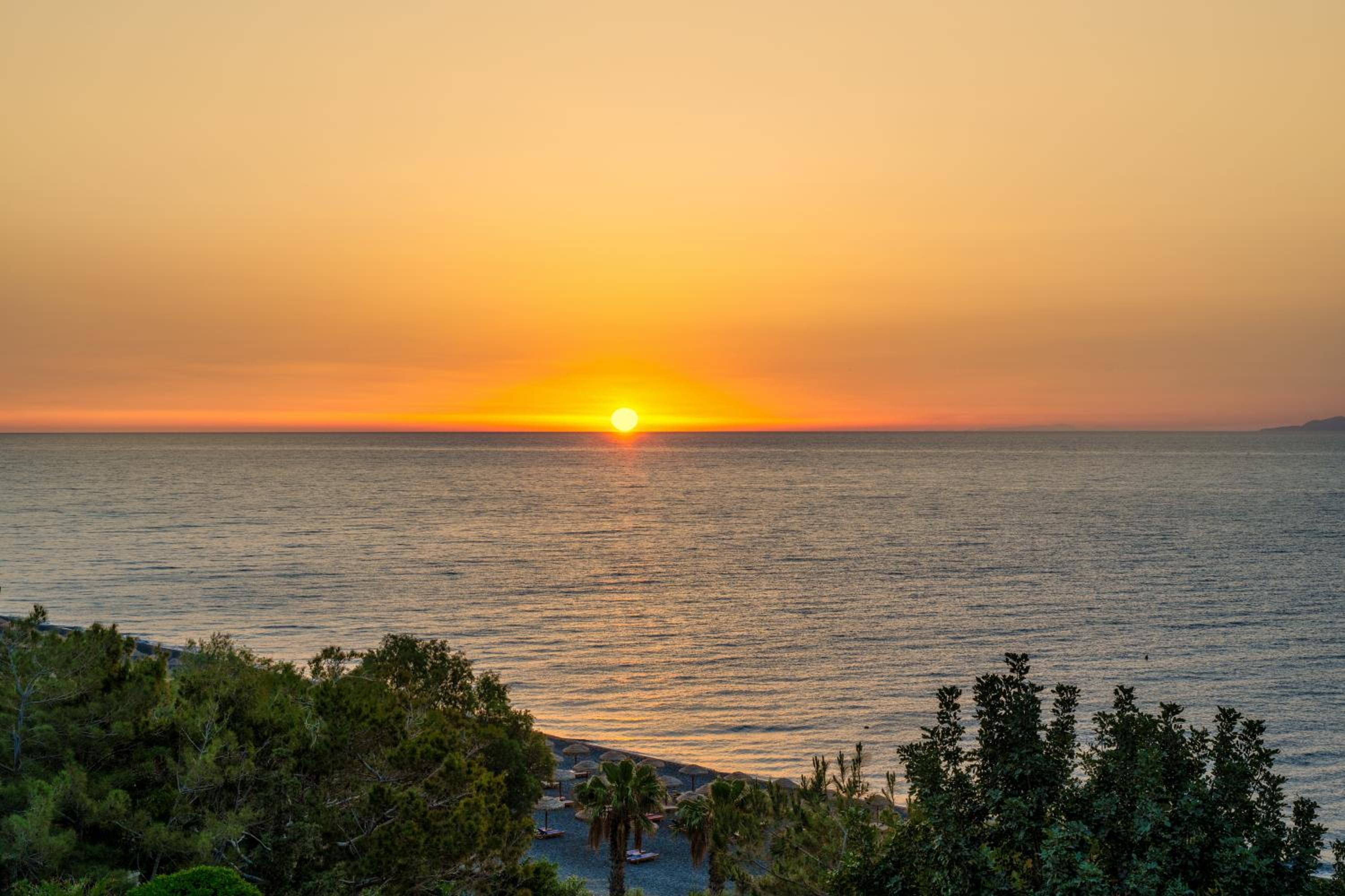 Apartment with Terrace No1