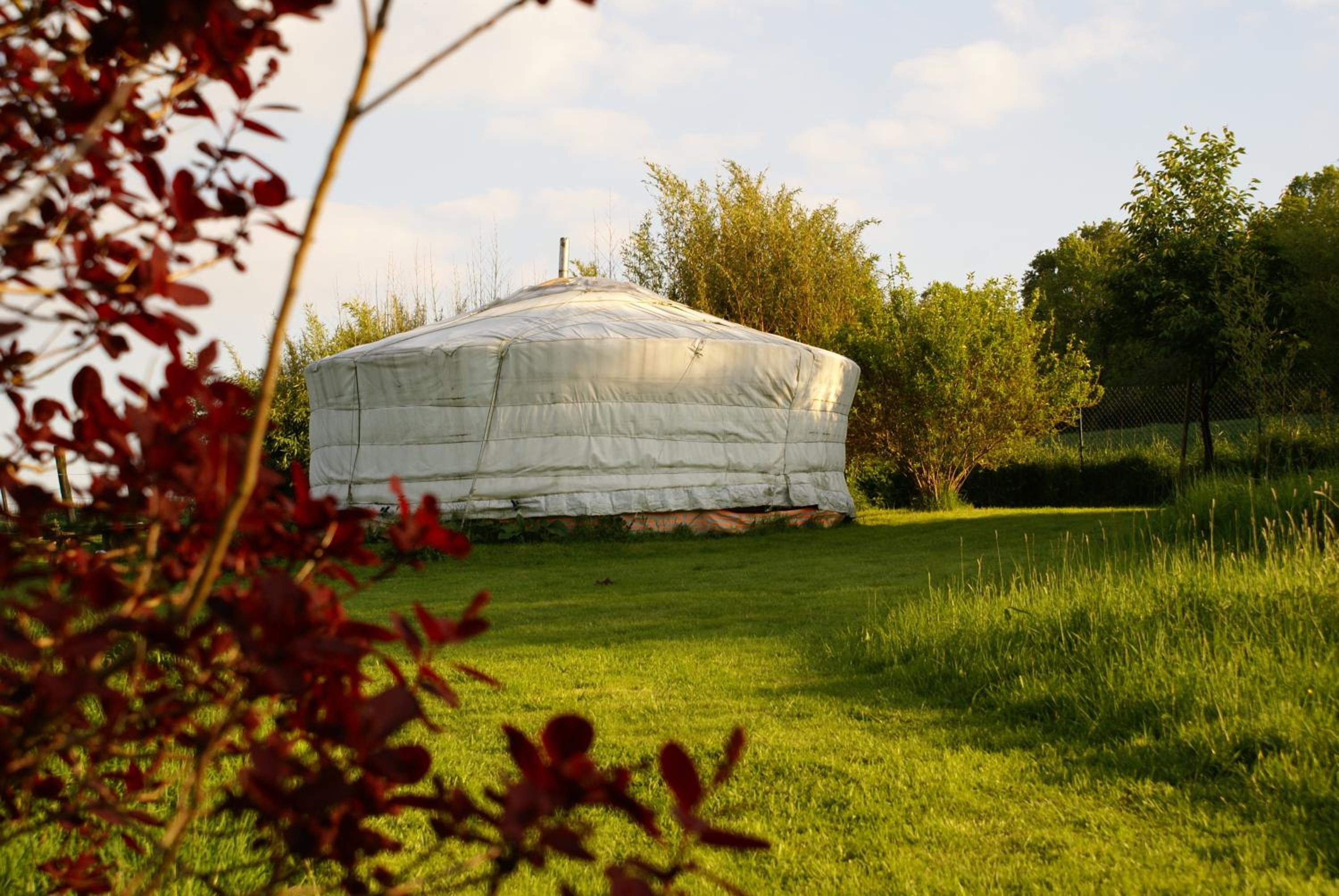 Tent