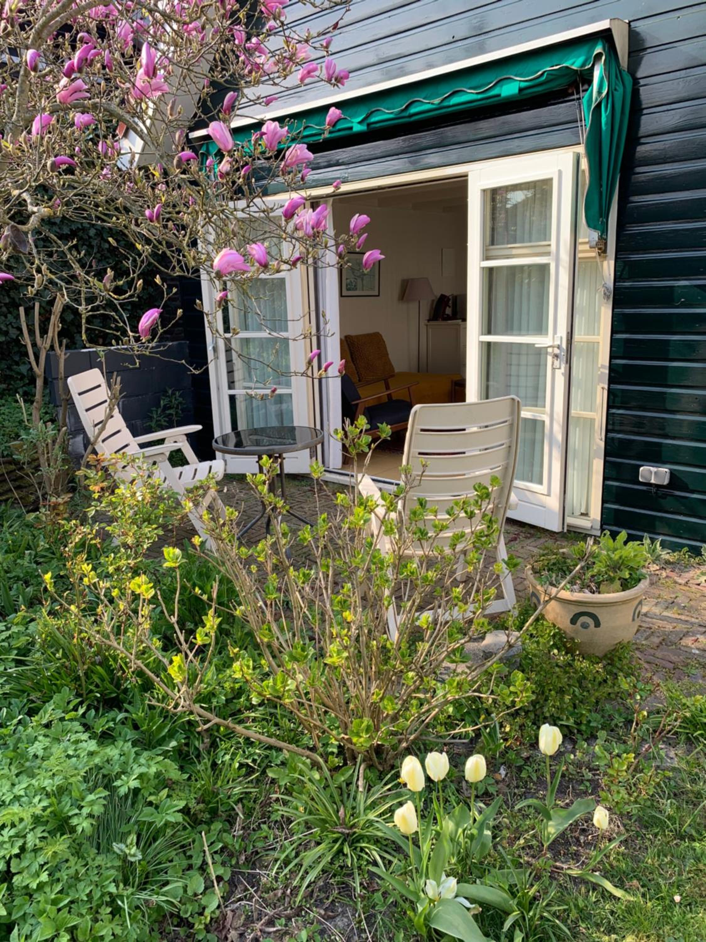 One-Bedroom House photo 3