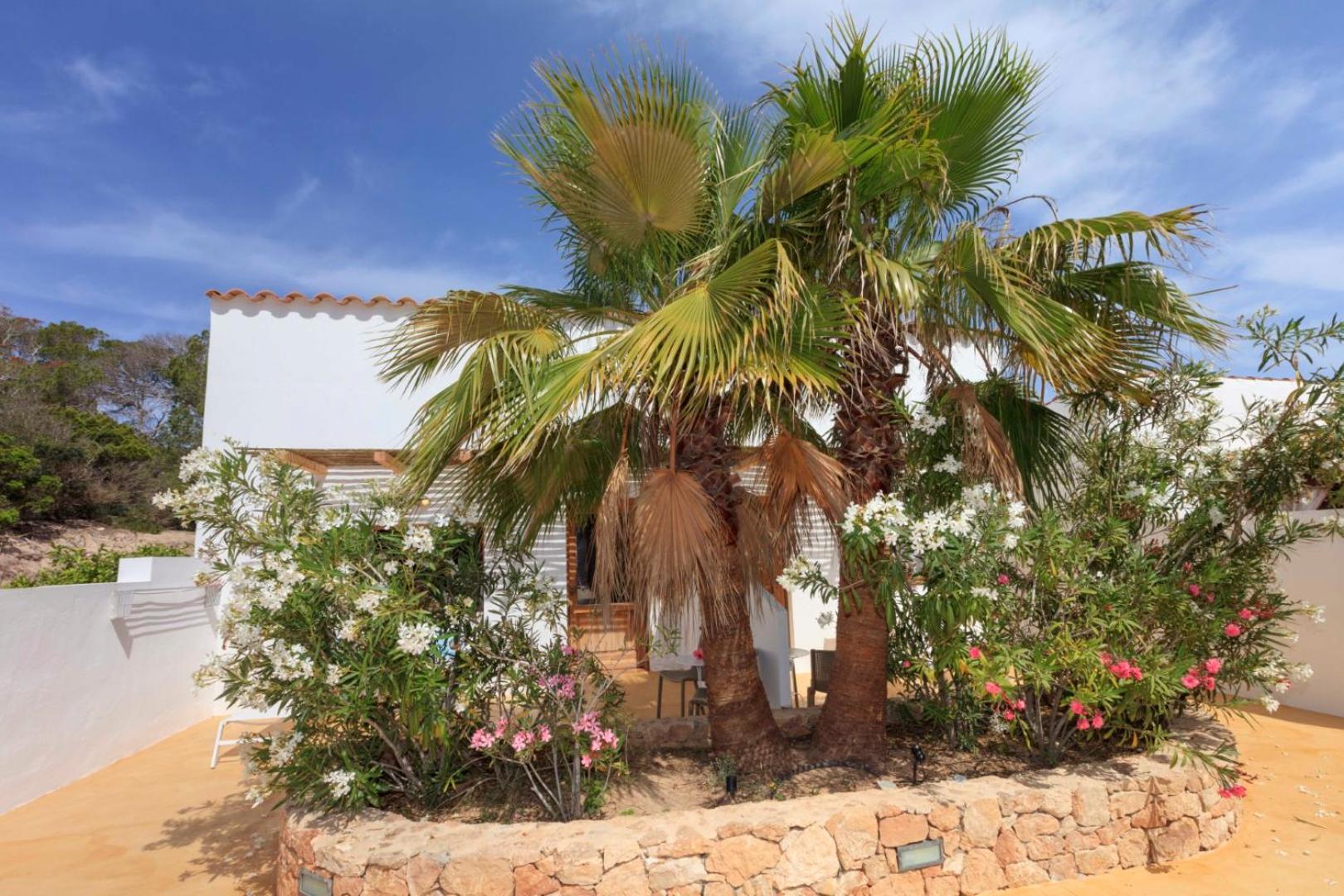 Es Pas Formentera Agroturismo, Billede 16
