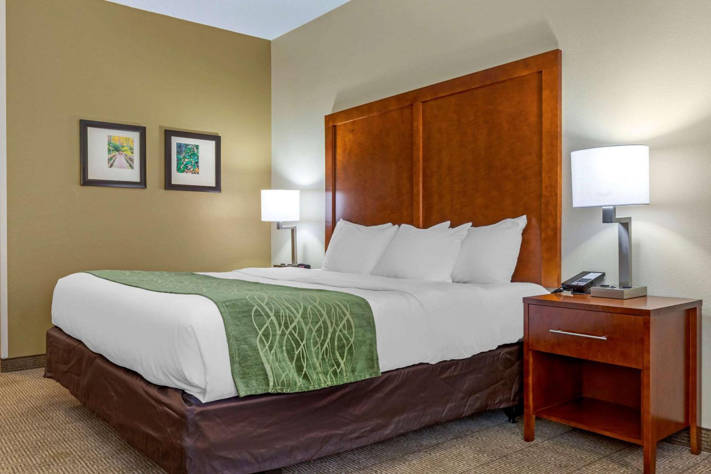 Comfort Inn & Suites Lenoir Hwy 321 Northern Foothills, 写真 6