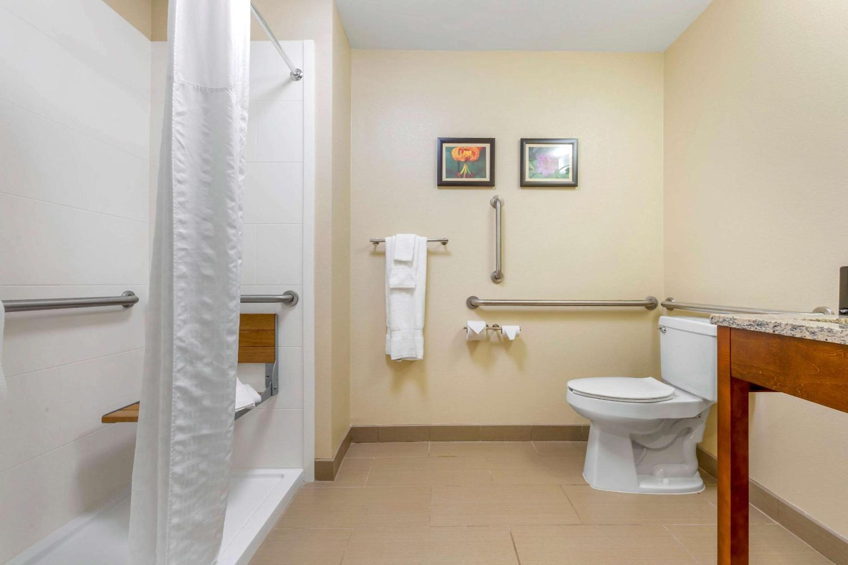 Comfort Inn & Suites Lenoir Hwy 321 Northern Foothills, 写真 3
