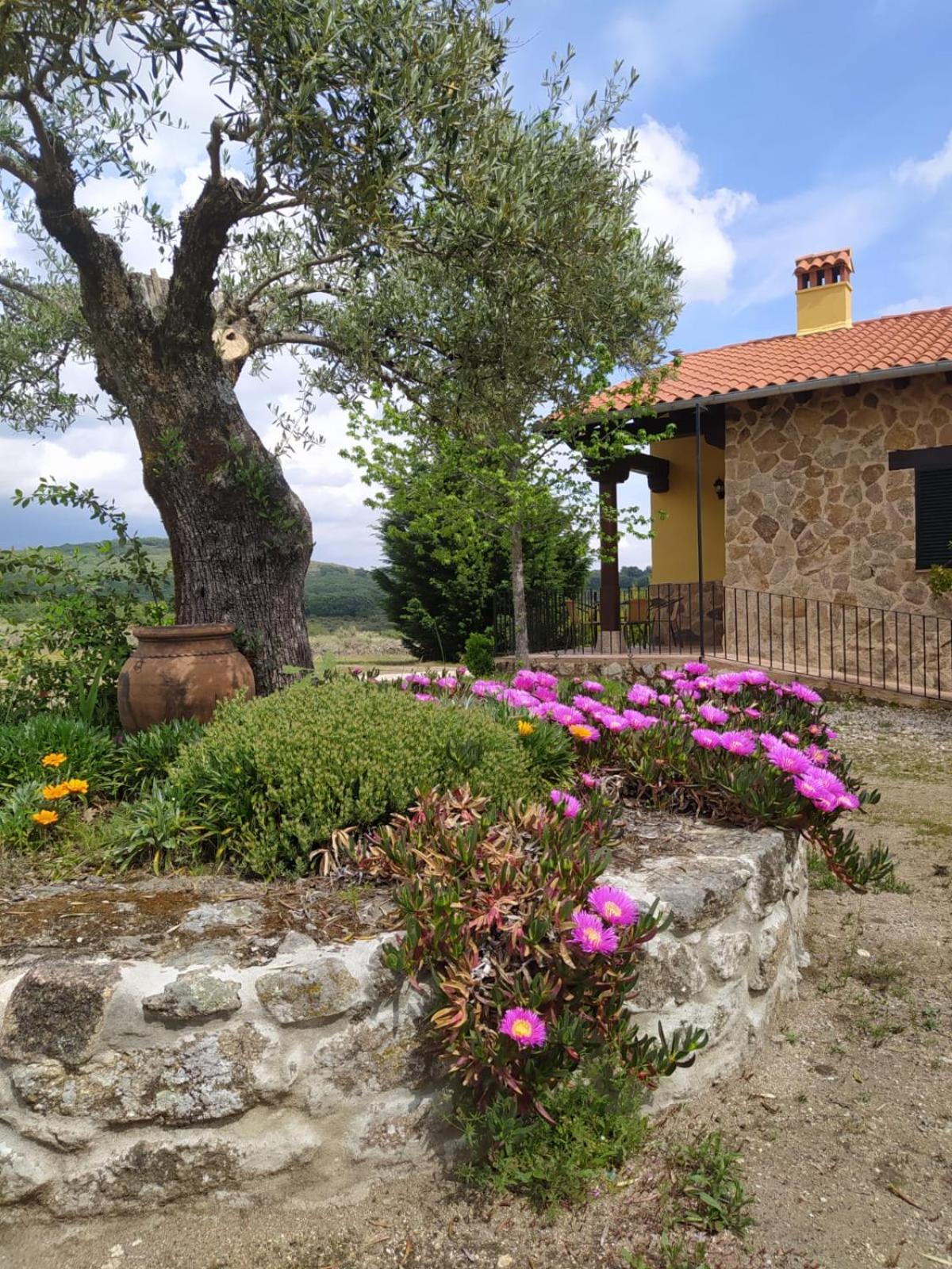 One-Bedroom Chalet photo 3