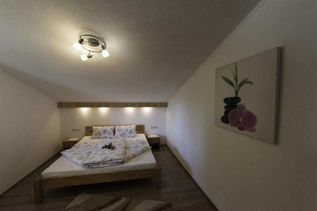 One-Bedroom Apartment with Shower photo 3