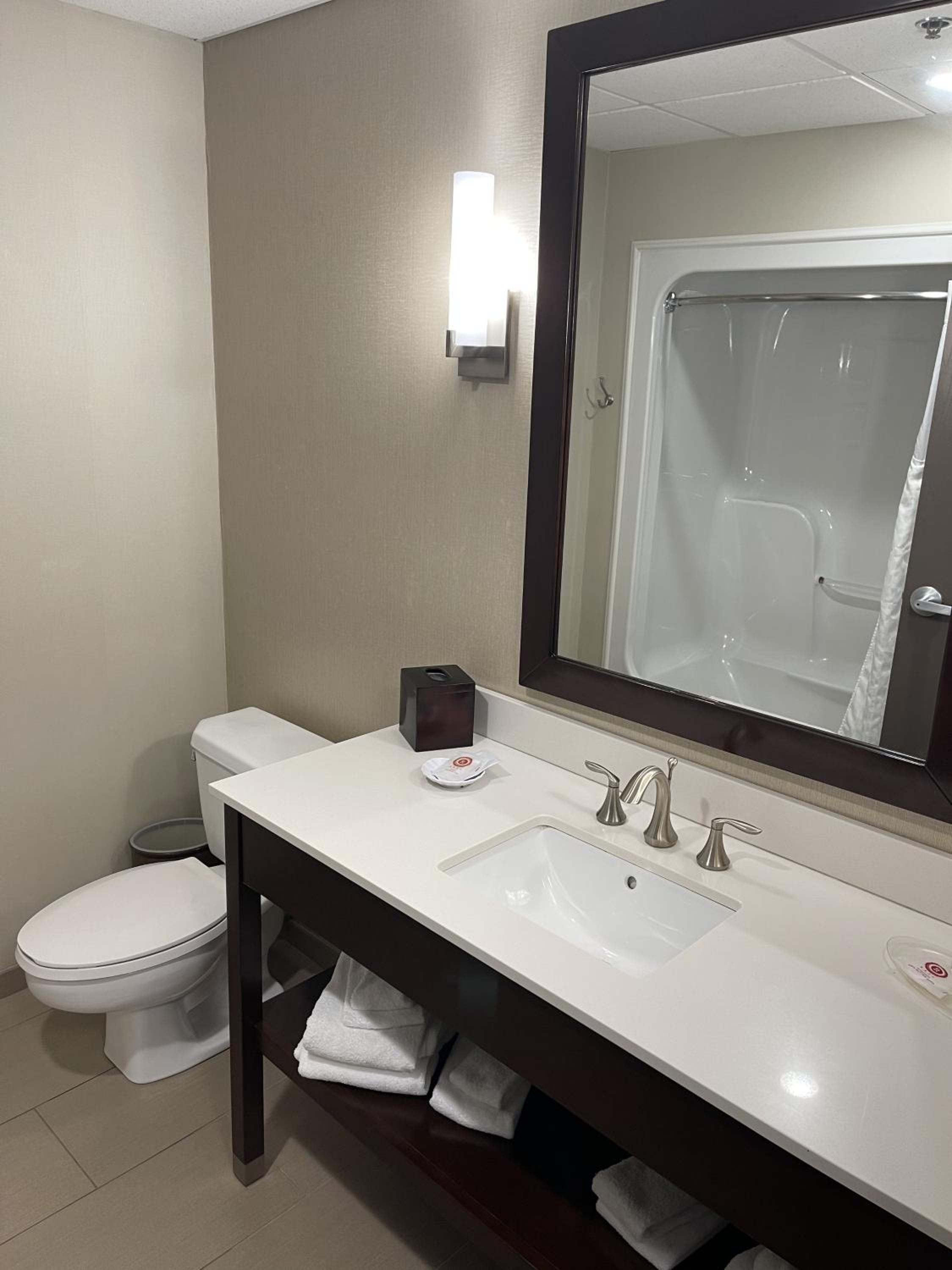 Premium King Suite - Photo 5