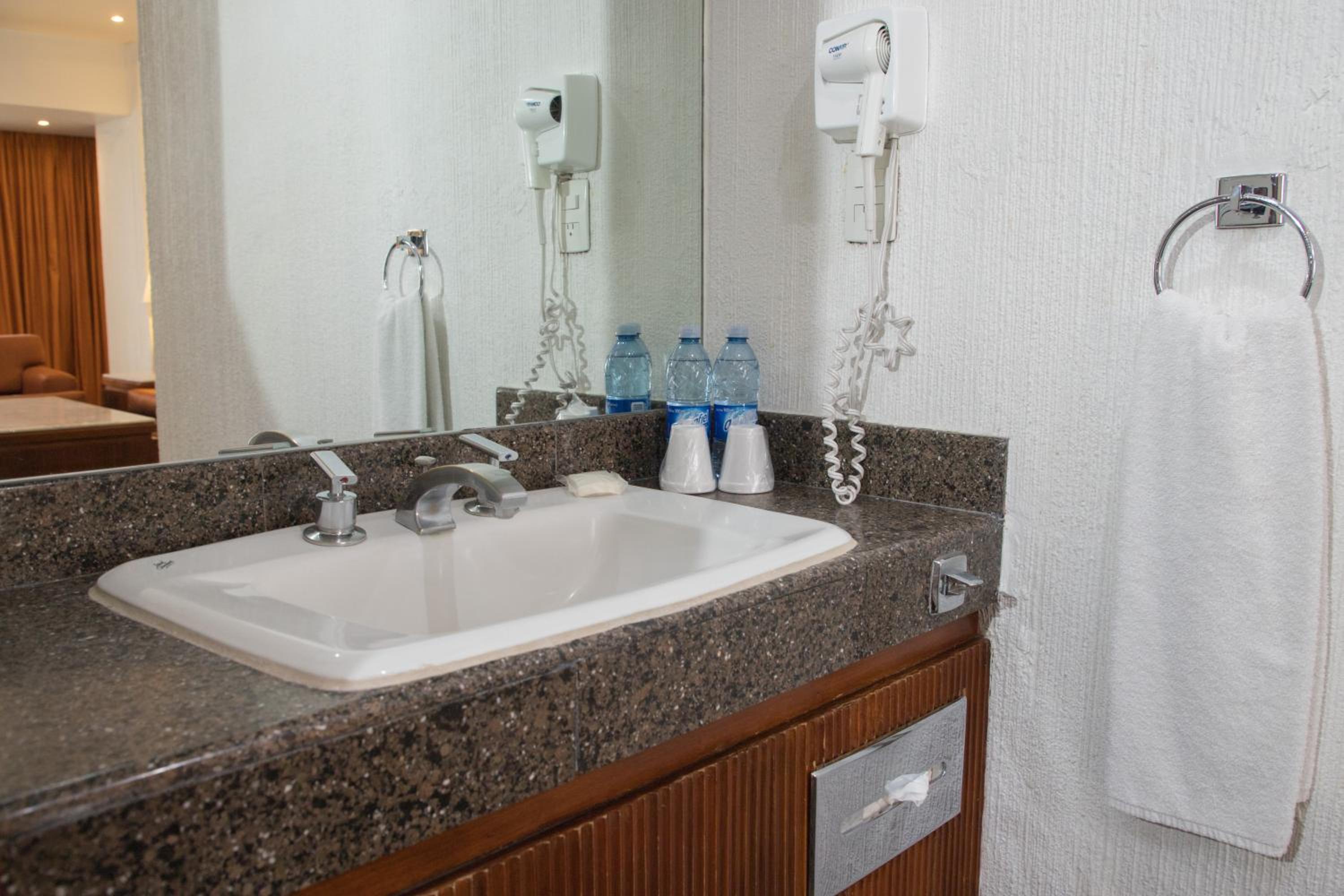 Deluxe Suite with Spa Bath - Photo 6