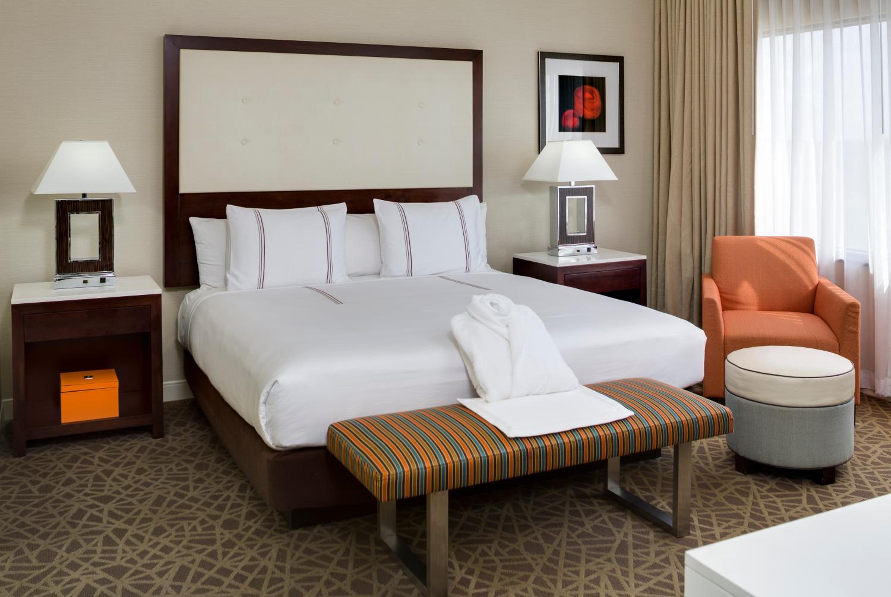 Suite - Photo 2