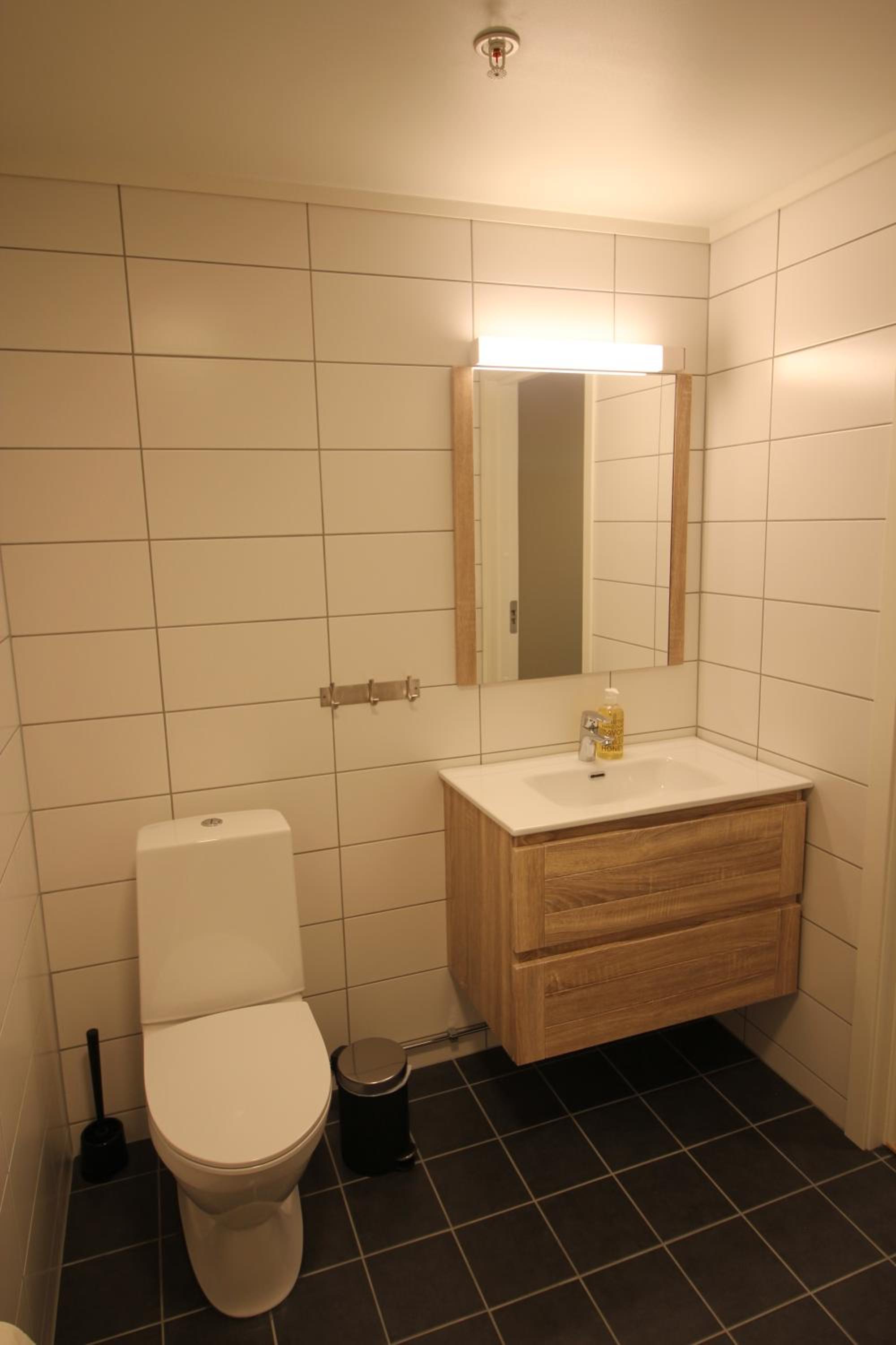 Studio Apartment photo 2