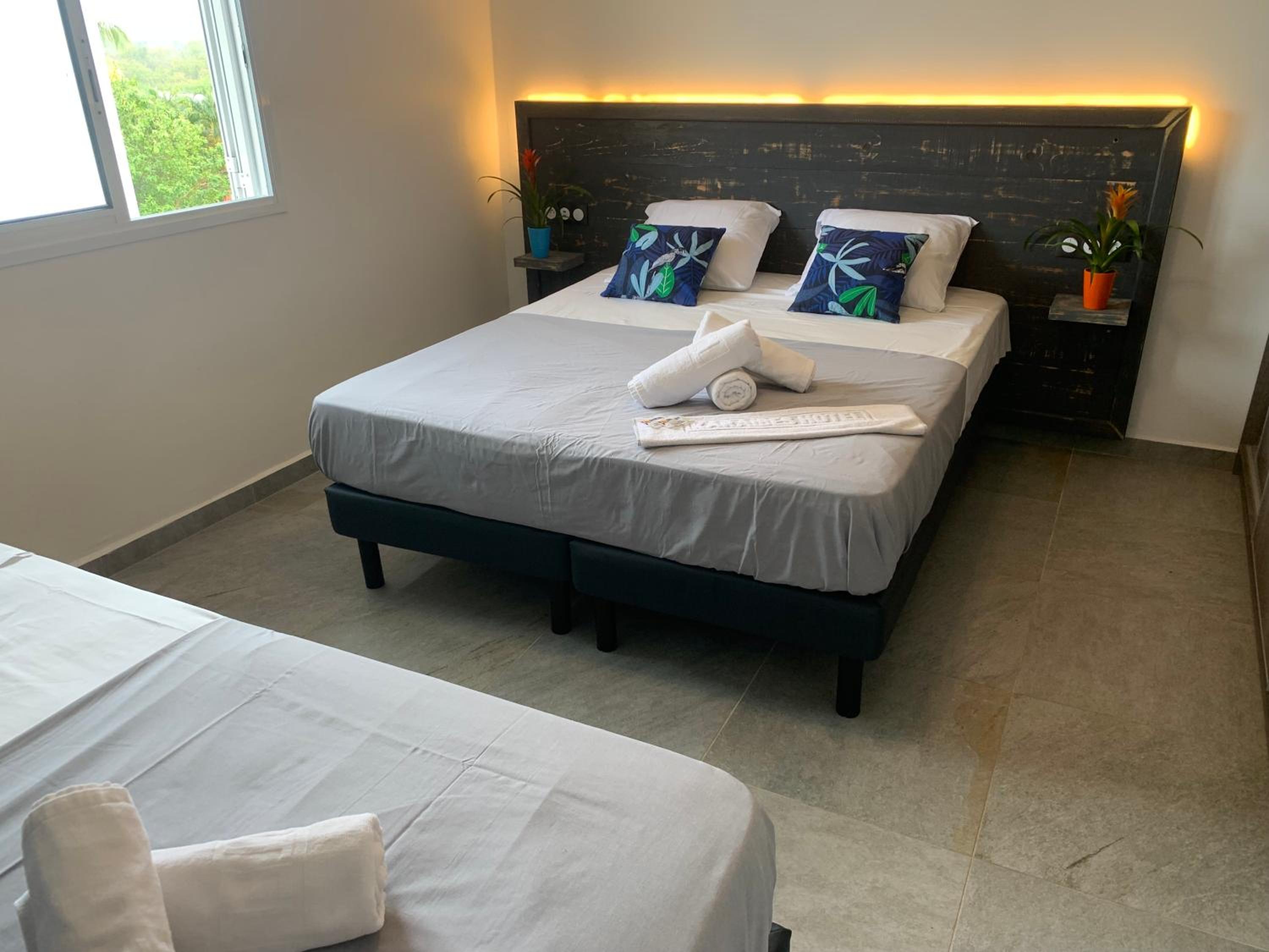 Deluxe Apartment, 2 Bedrooms, Terrace photo 3