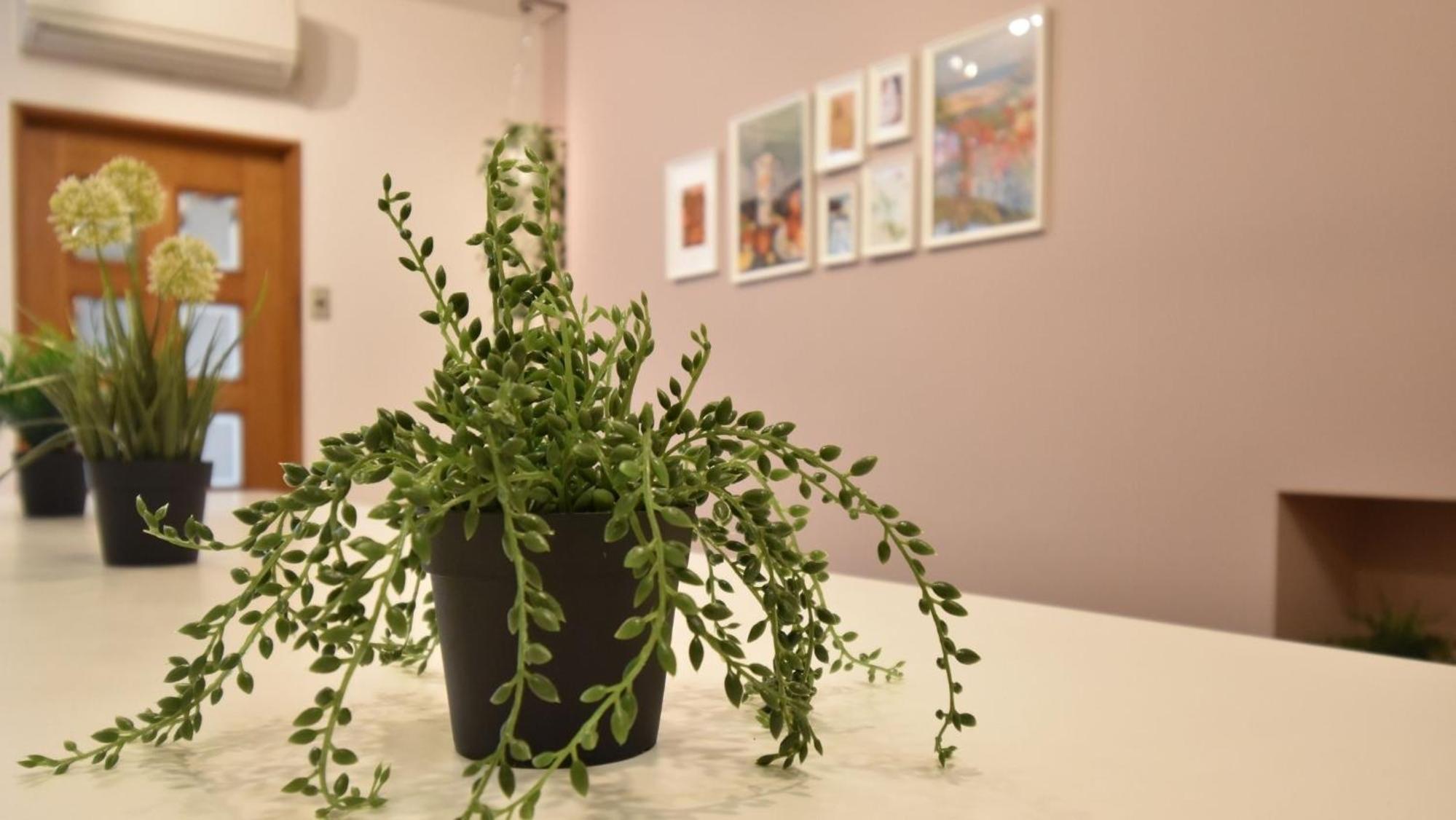 Apartment - Photo 44