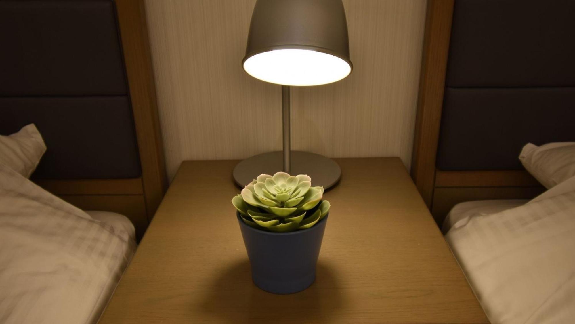 Apartment - Photo 29