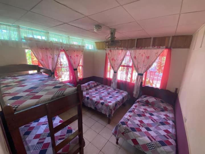 Three-Bedroom House photo 1
