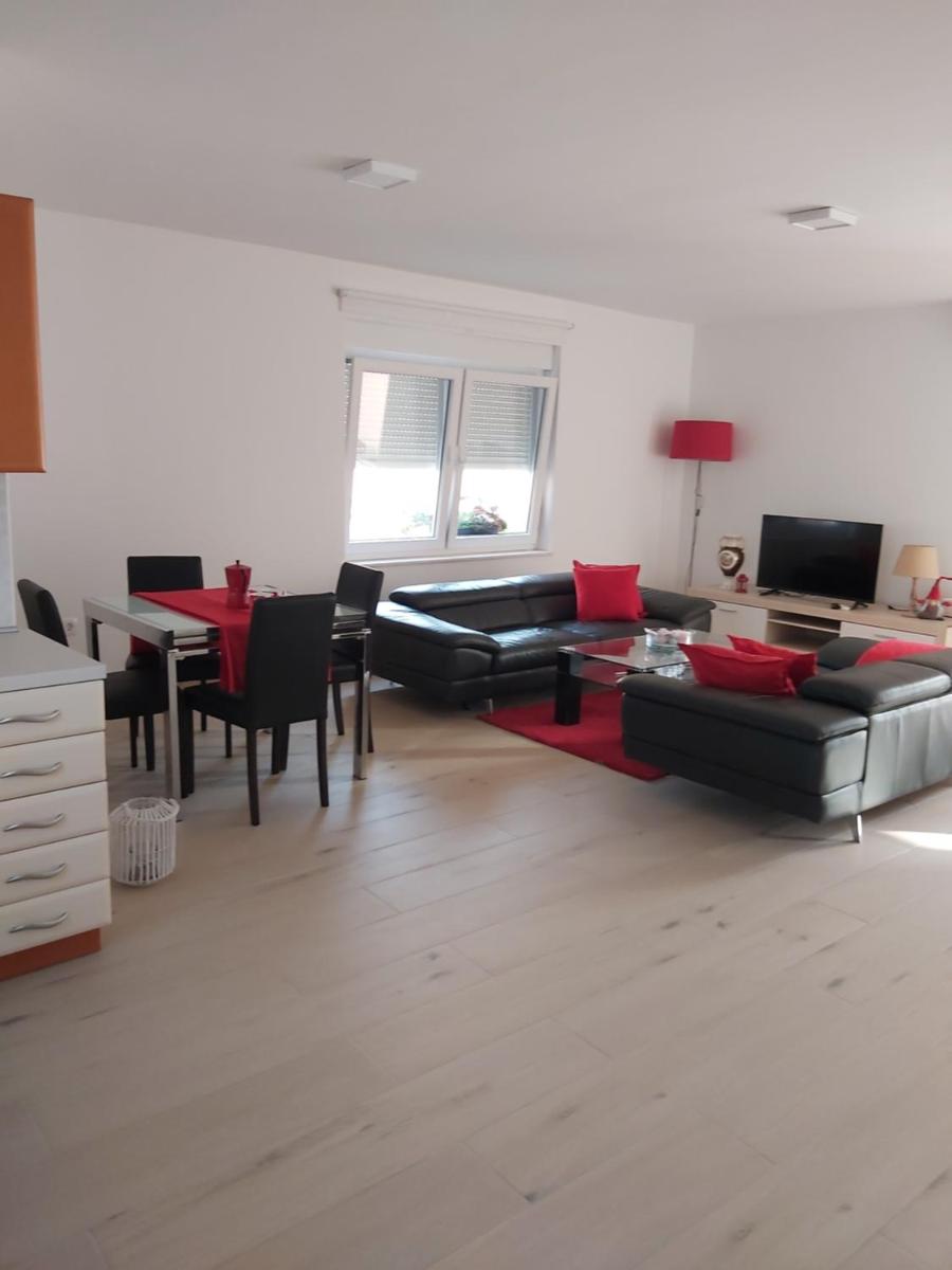 Apartment with Terrace photo 3