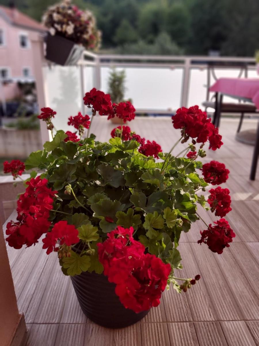 Apartment with Terrace photo 2