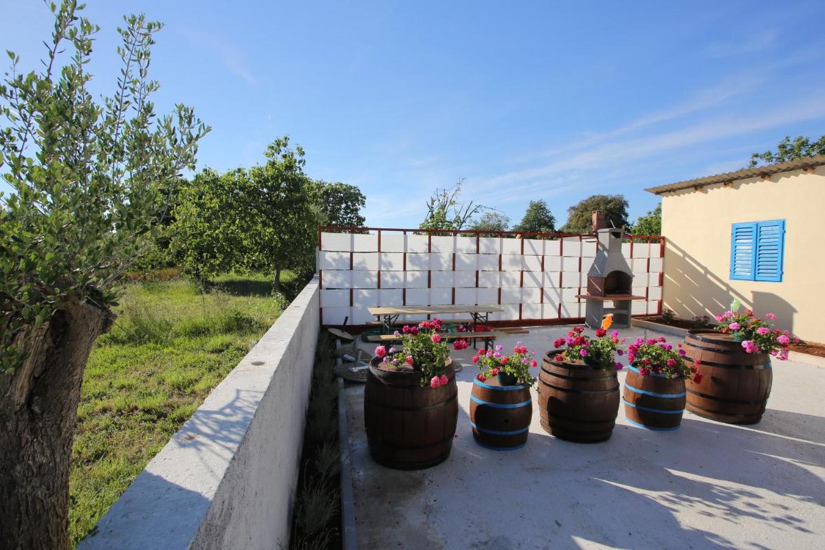 Studio with Garden View photo 1