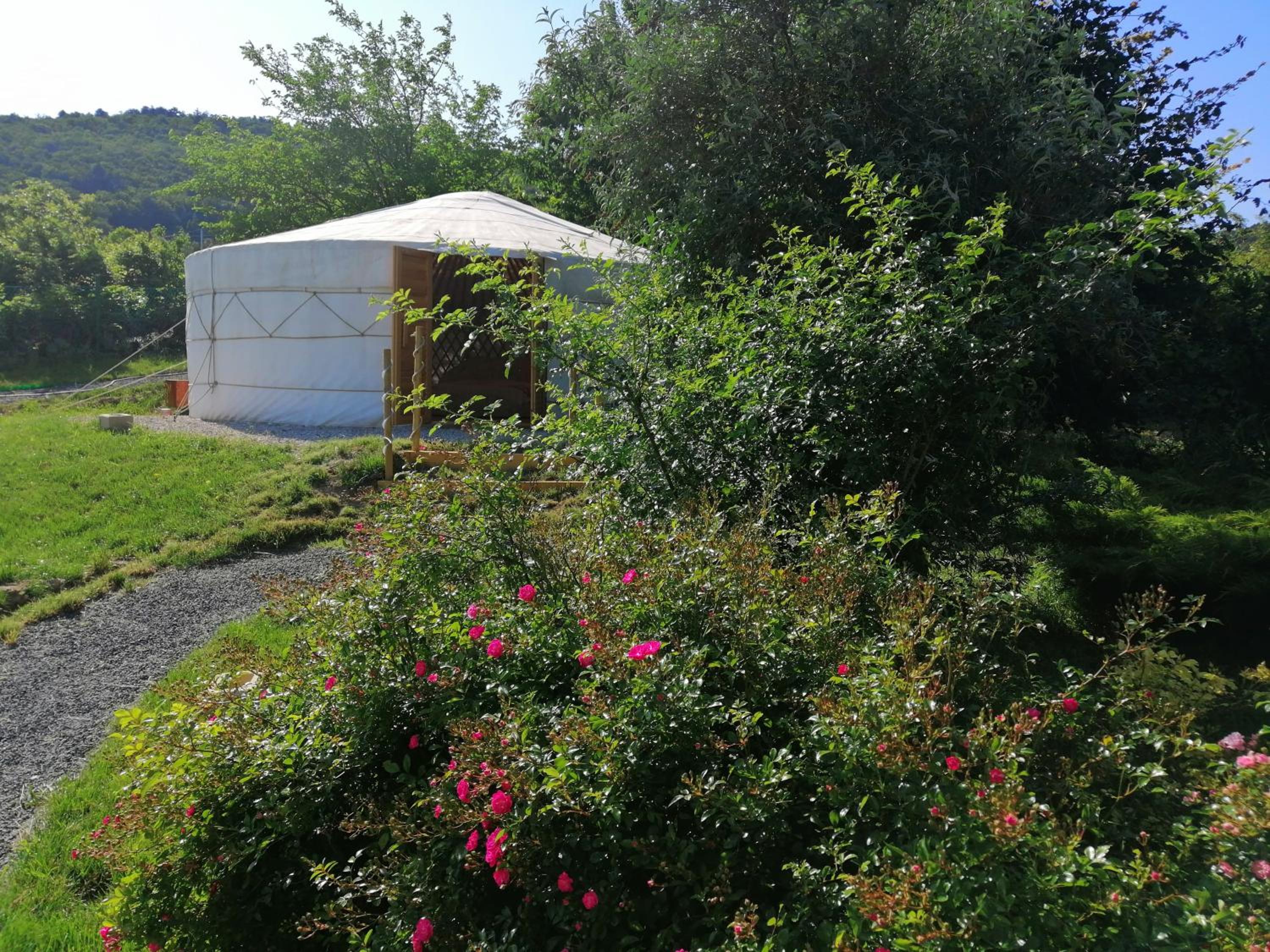 Quadruple Tent - Photo 6