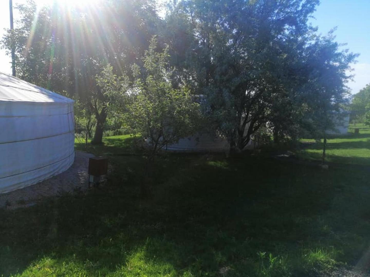 Economy Tent - Photo 19