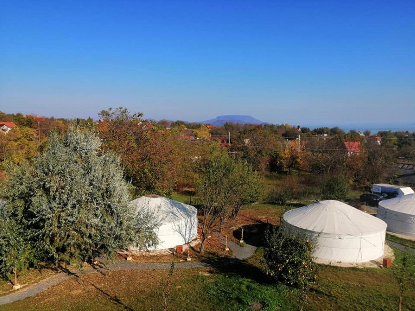 Economy Tent - Photo 4