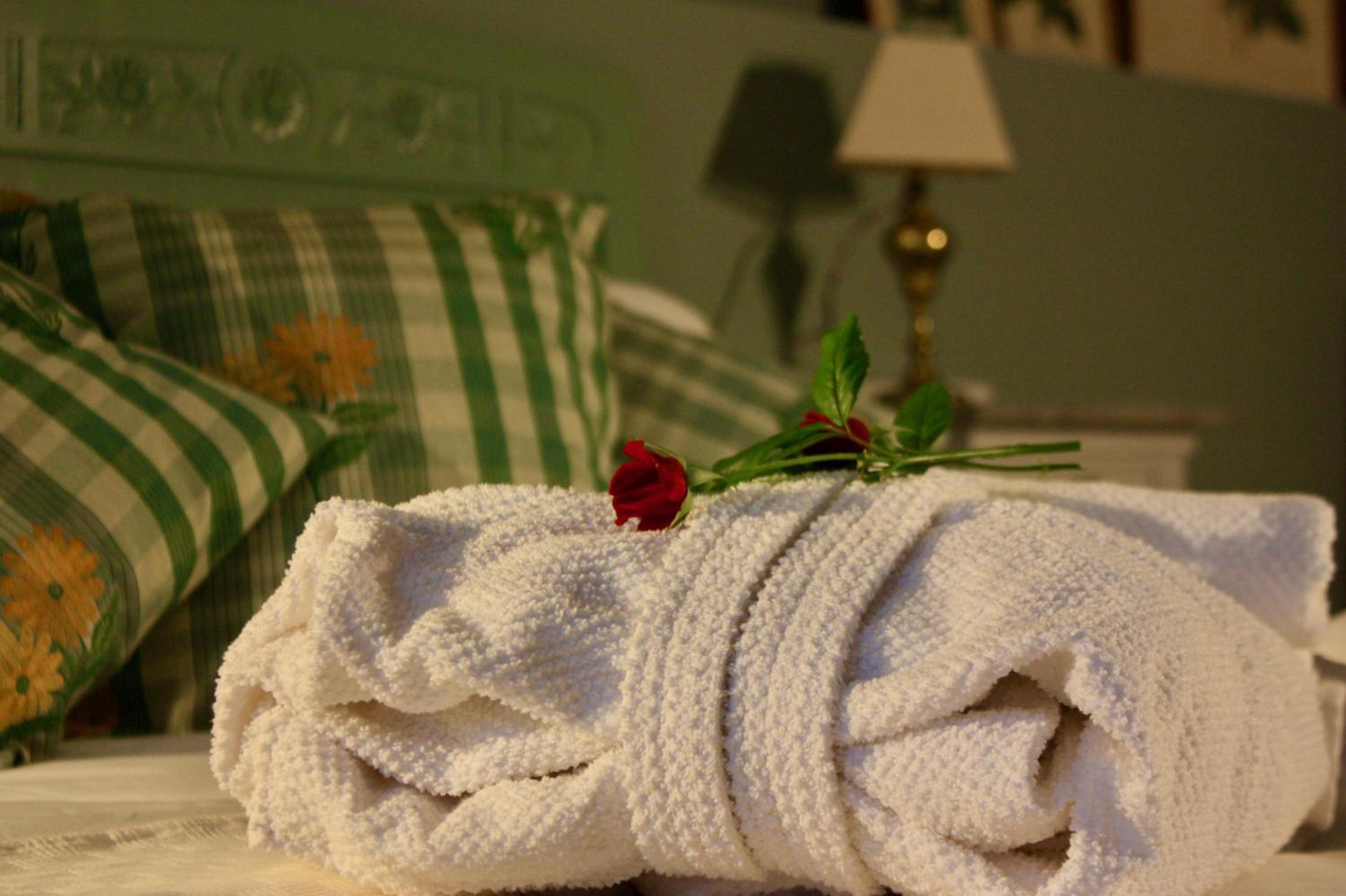 Deluxe Room - Photo 10