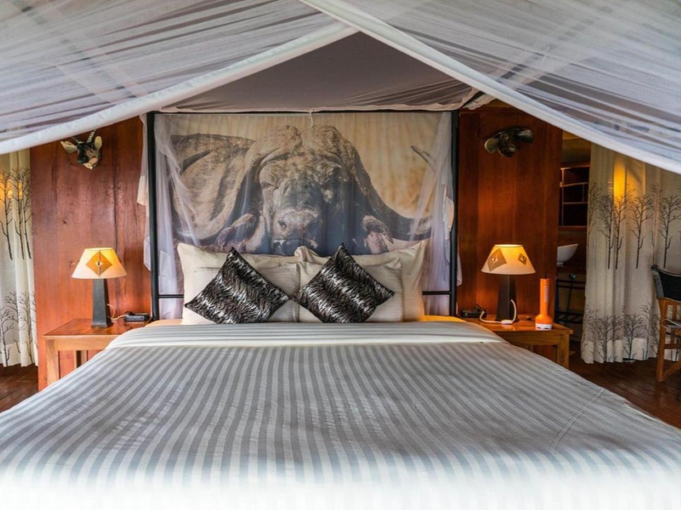 Deluxe Tent photo 1