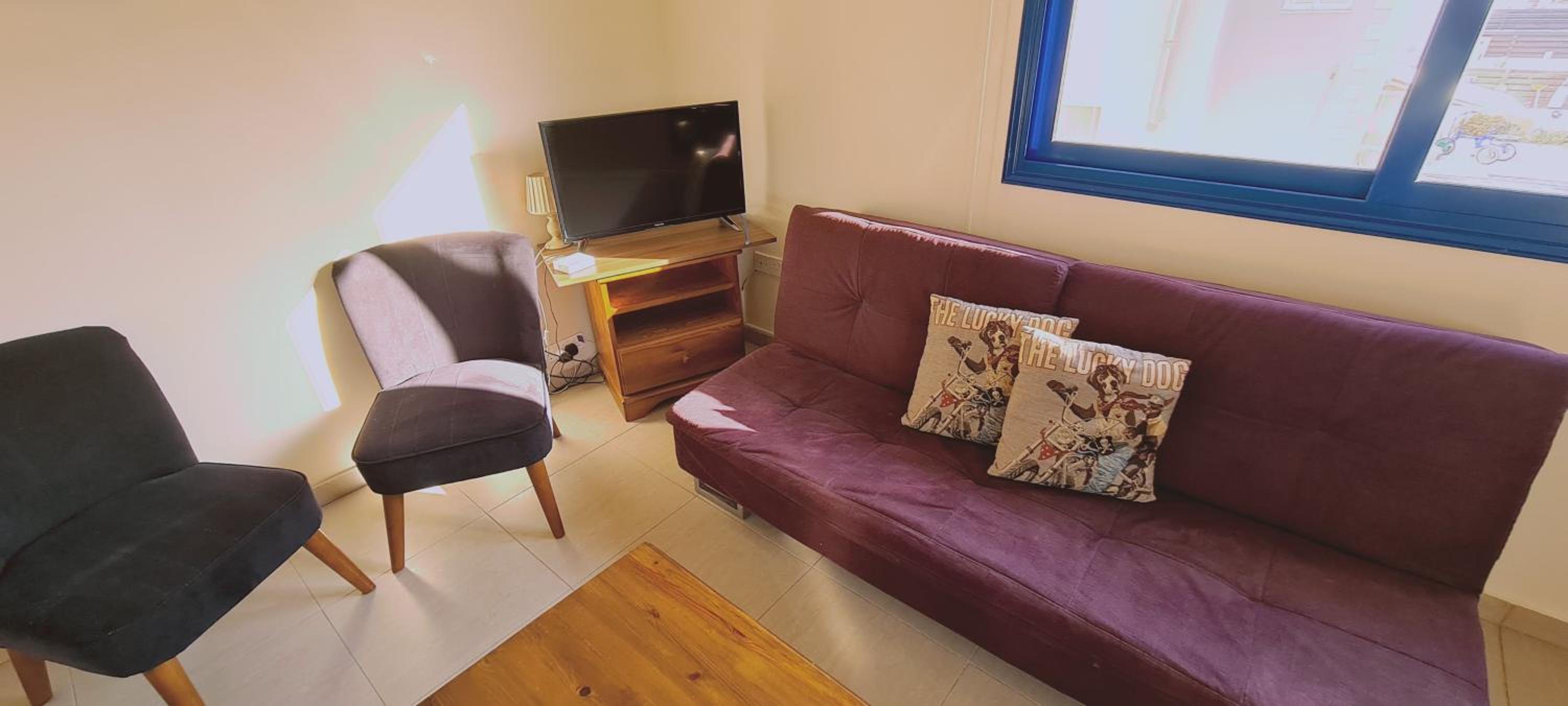Apartment with Terrace - Photo 23