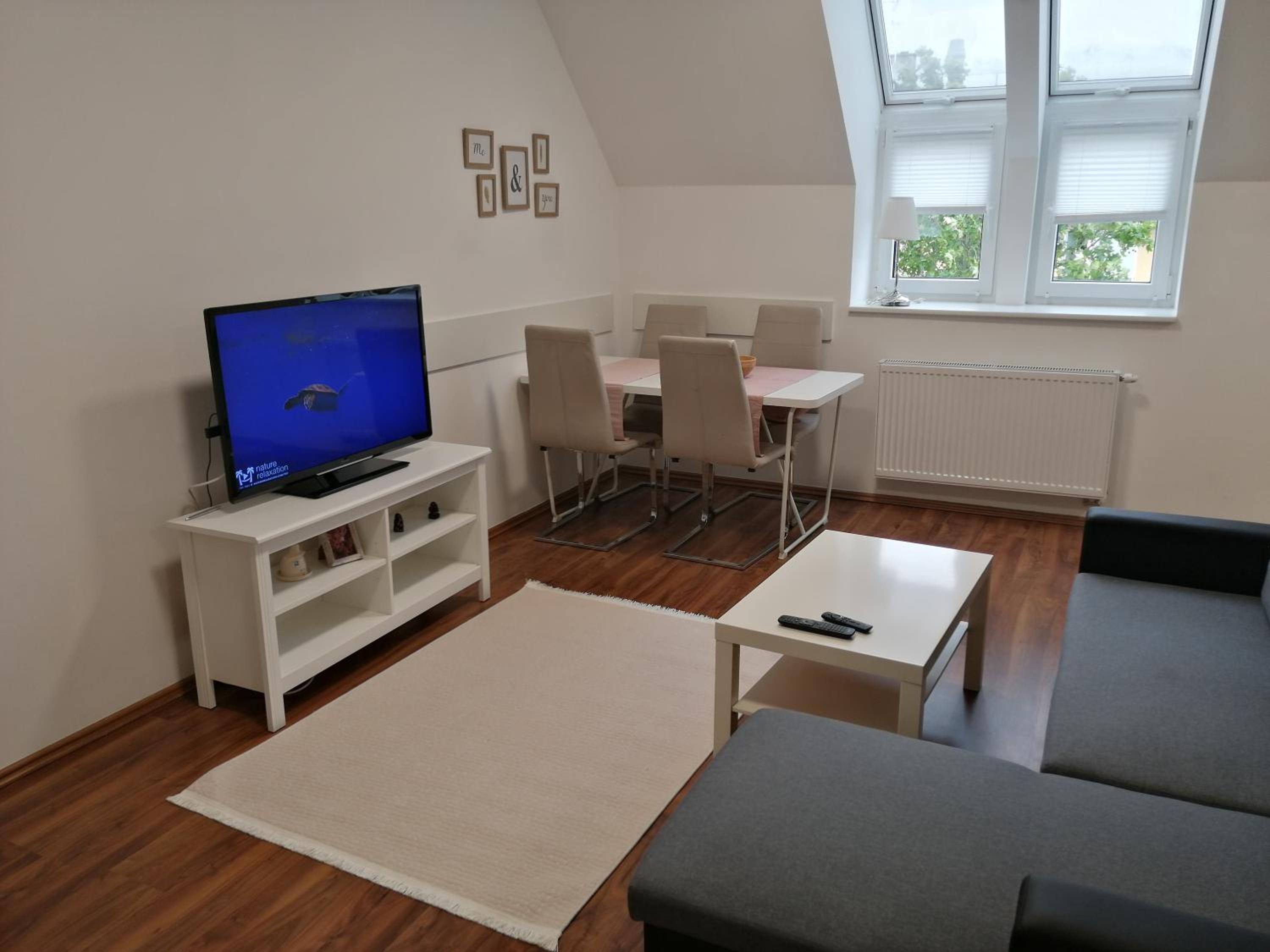 Deluxe Apartment