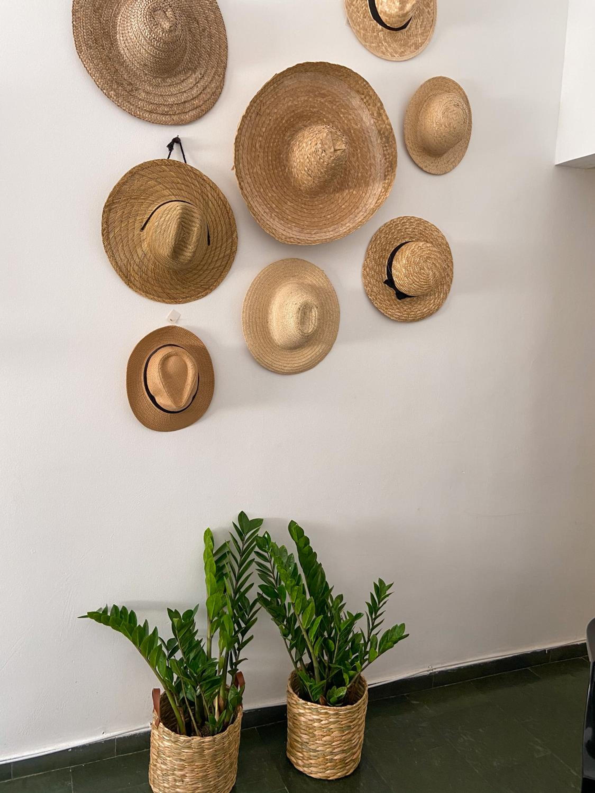 Apartment - Photo 4