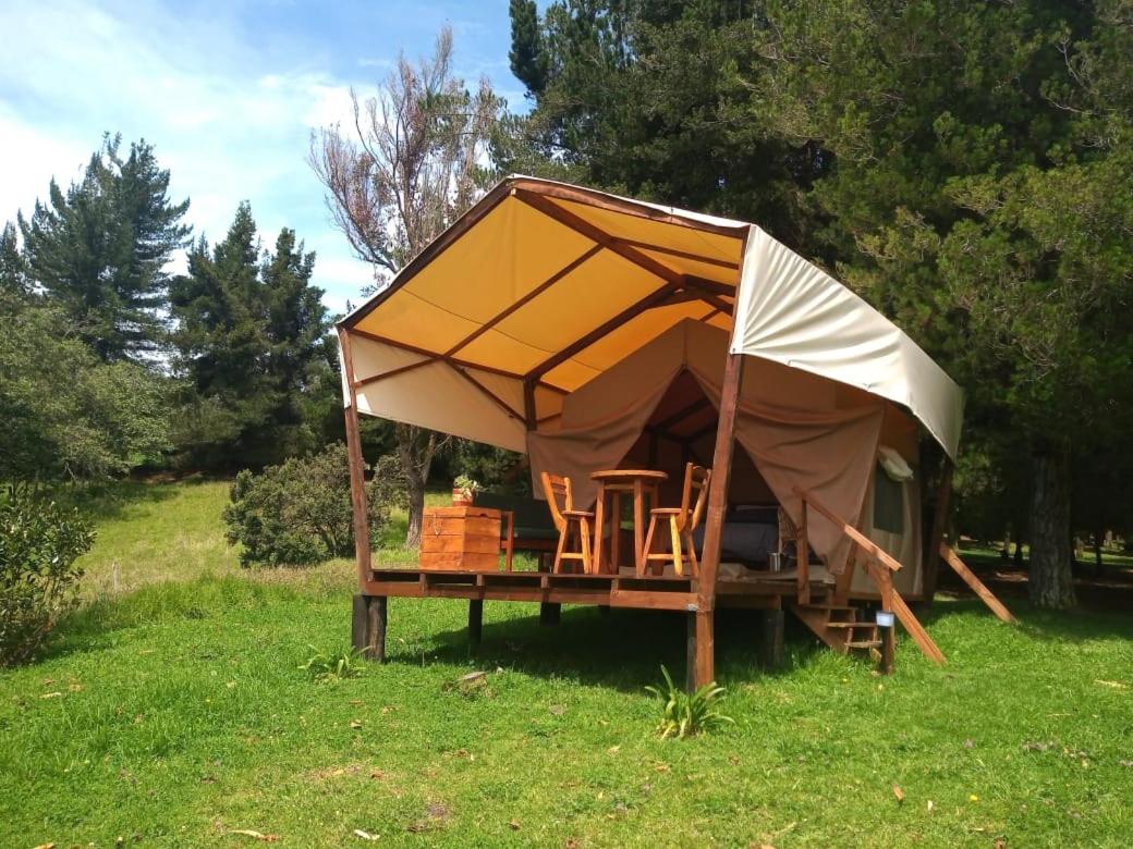 Tent photo 1