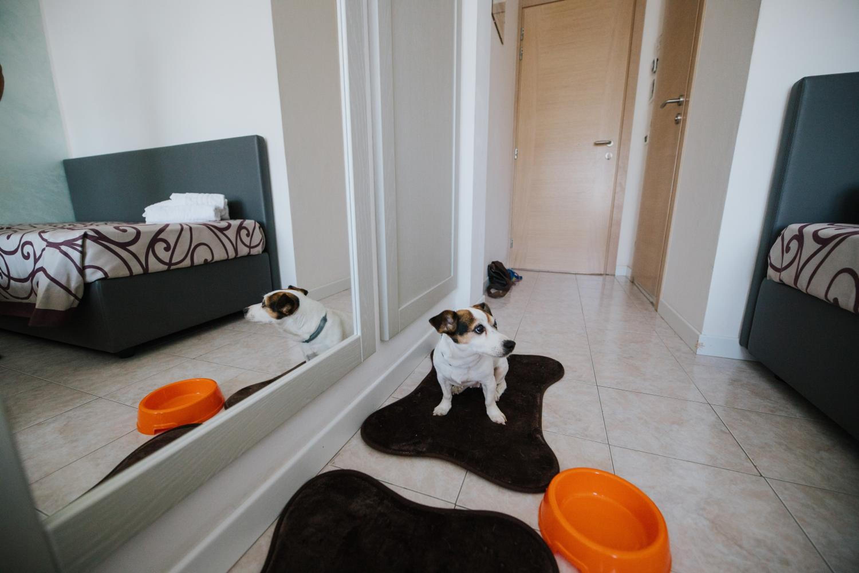 Triple Room photo 3