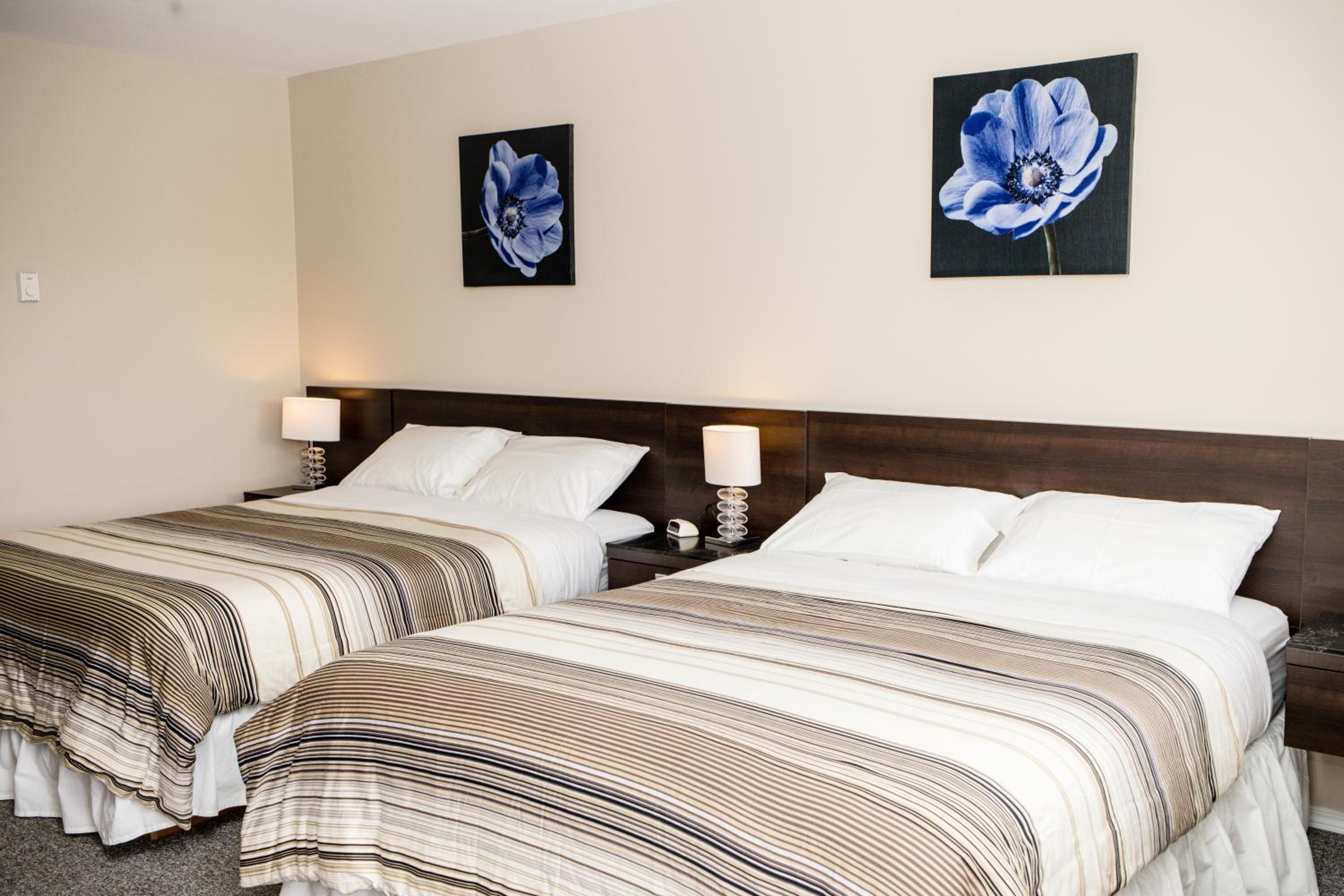 Deluxe Queen Room with Two Queen Bed - Not Pet Friendly