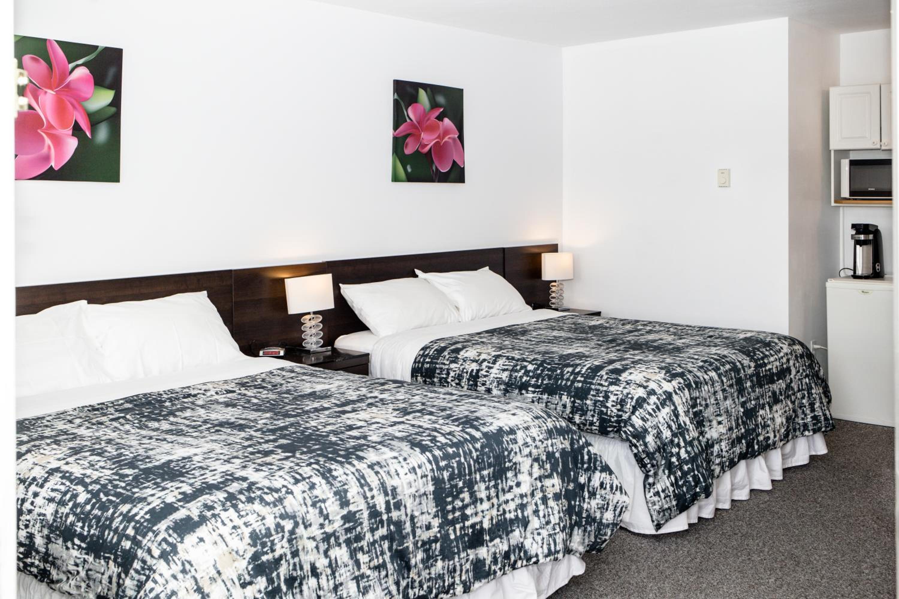 Standard Queen Room - Not Pet Friendly