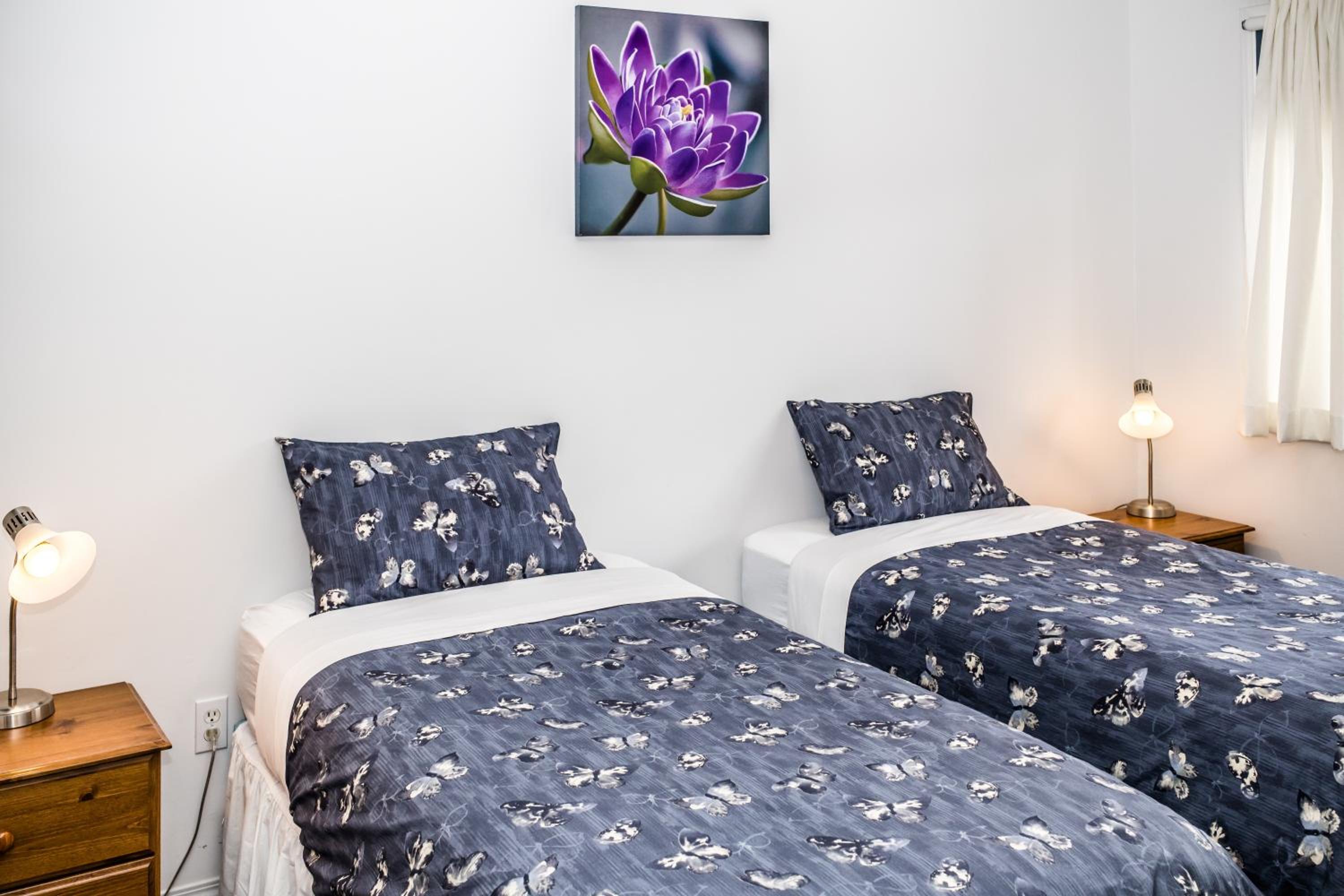 Family Suite - Not Pet Friendly  photo 2