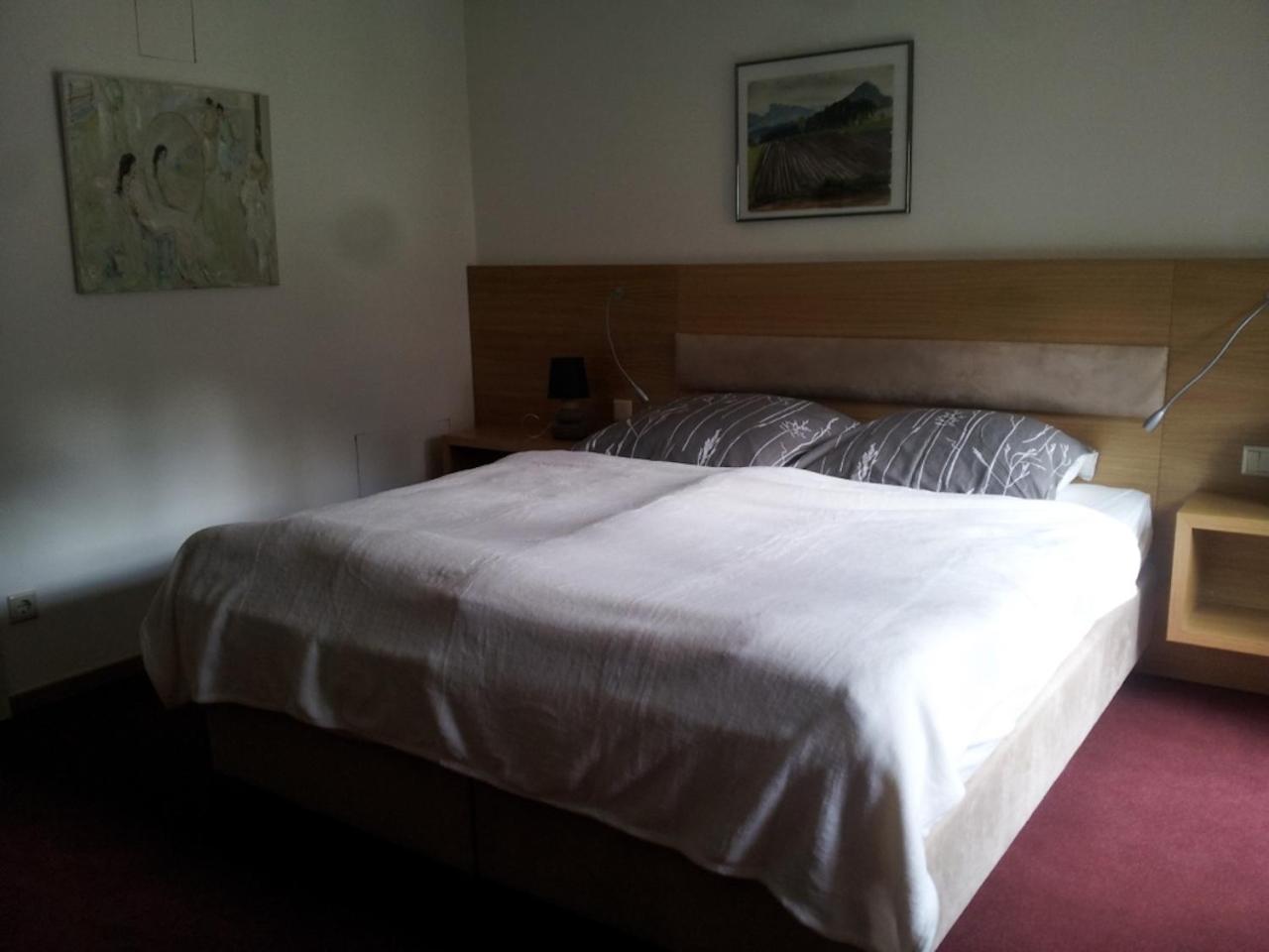 Deluxe Double Room photo 1