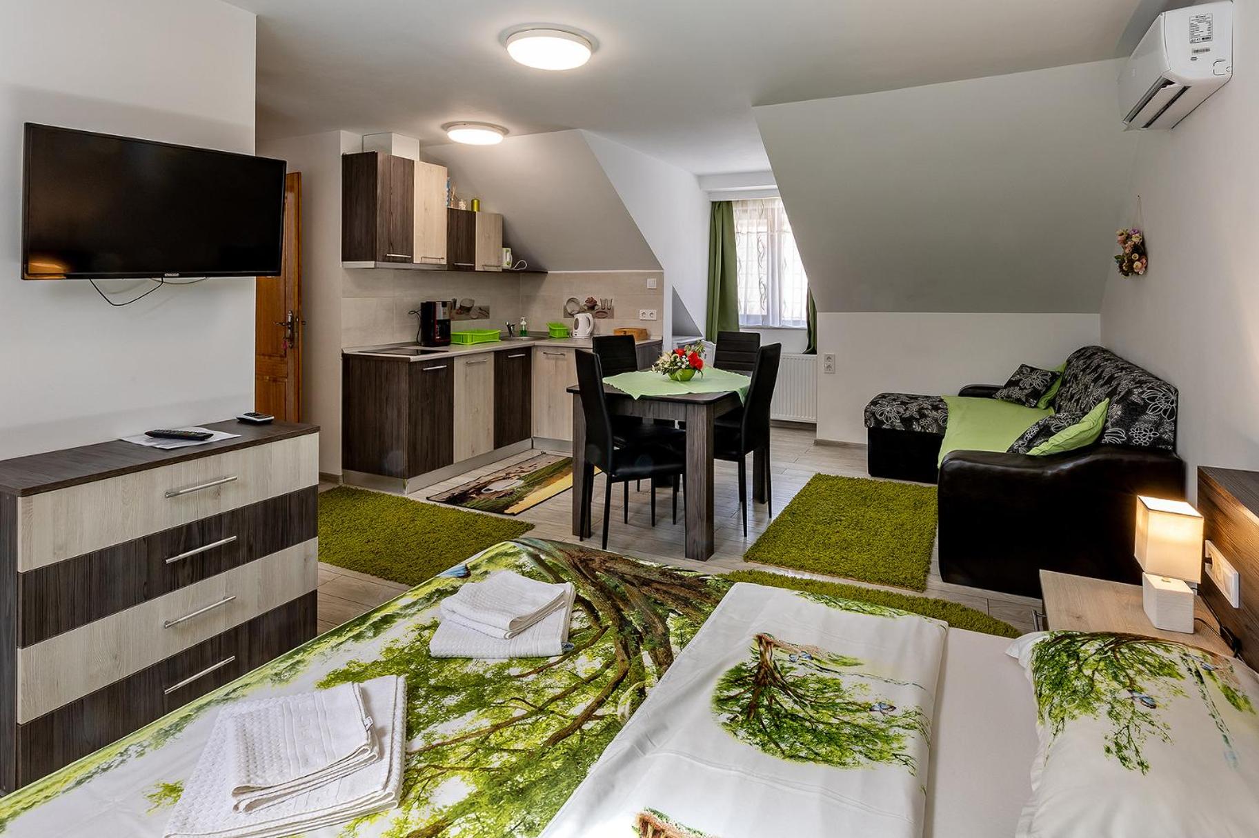 Studio Apartment