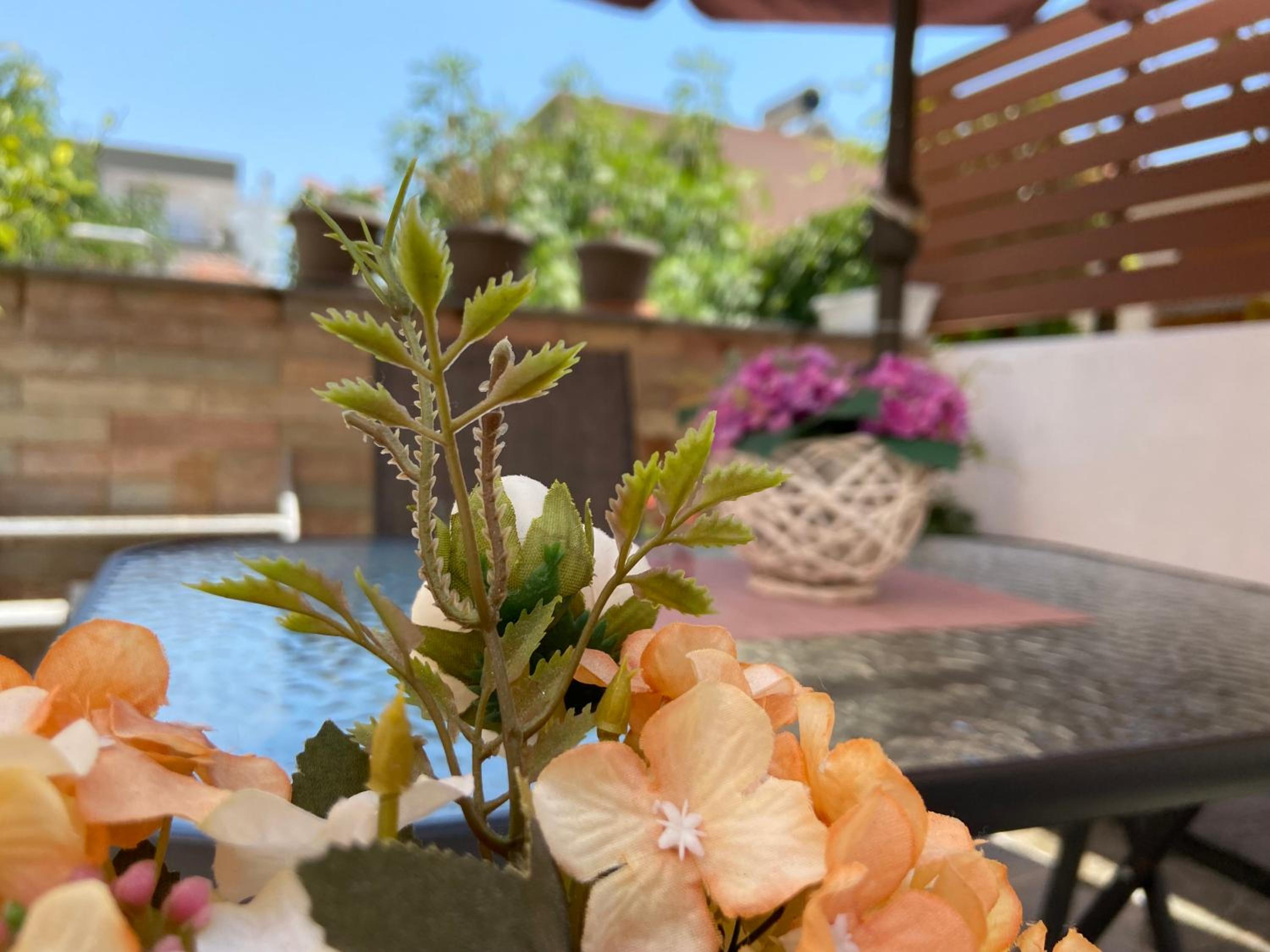Superior Apartment - Aphrodite - Photo 10