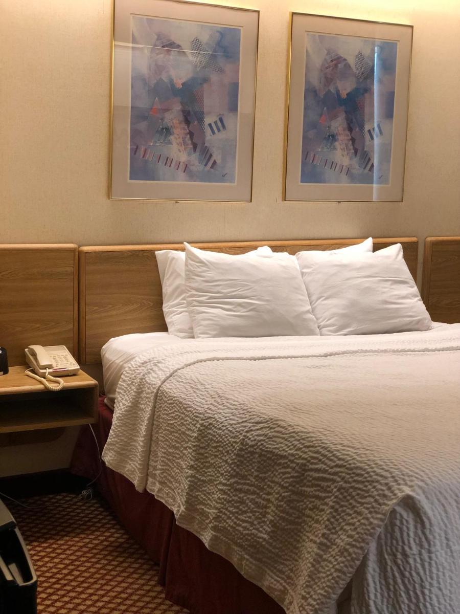 Single Room - Disability Access photo 2