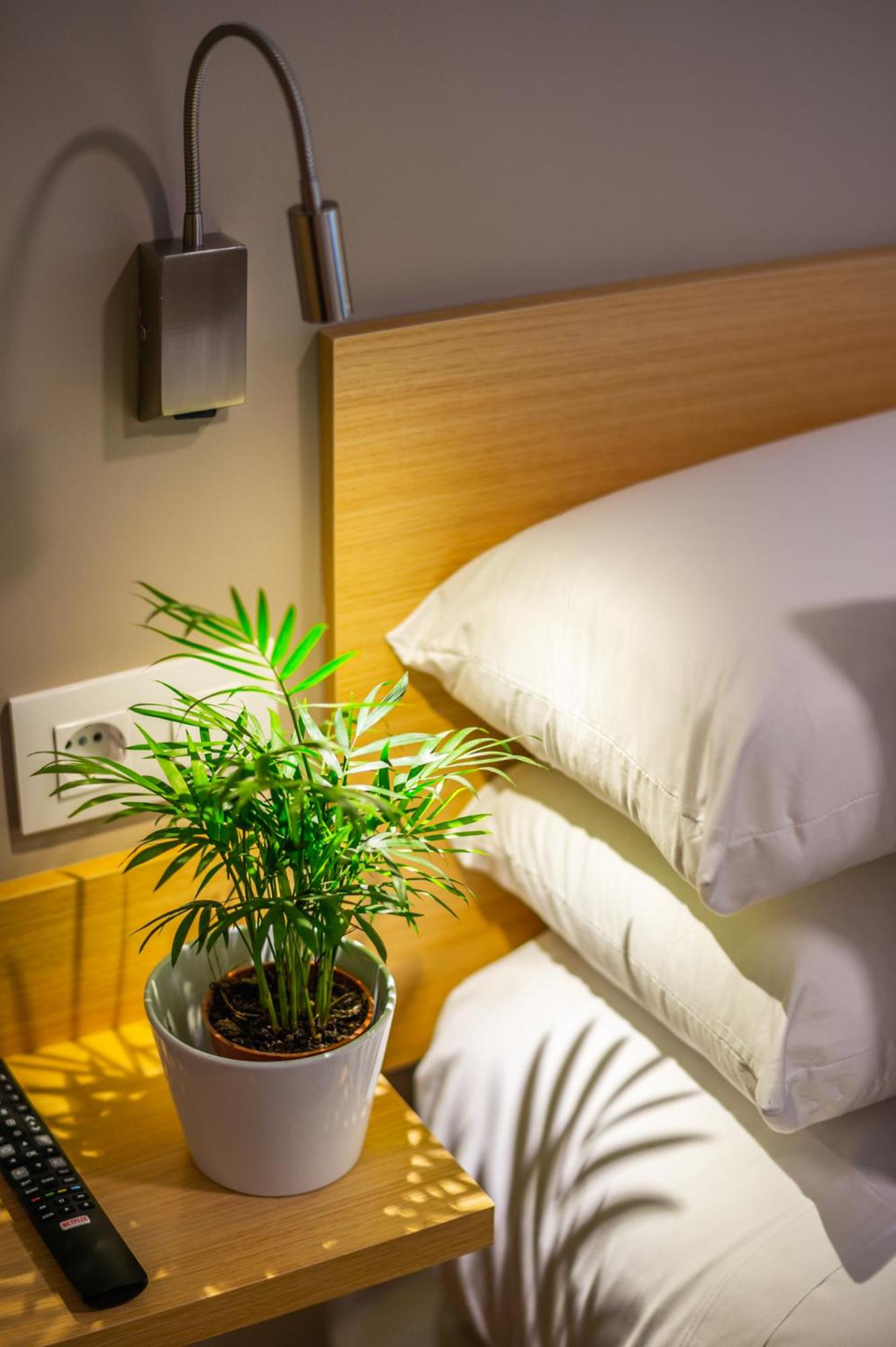 Habitación Individual con cama grande