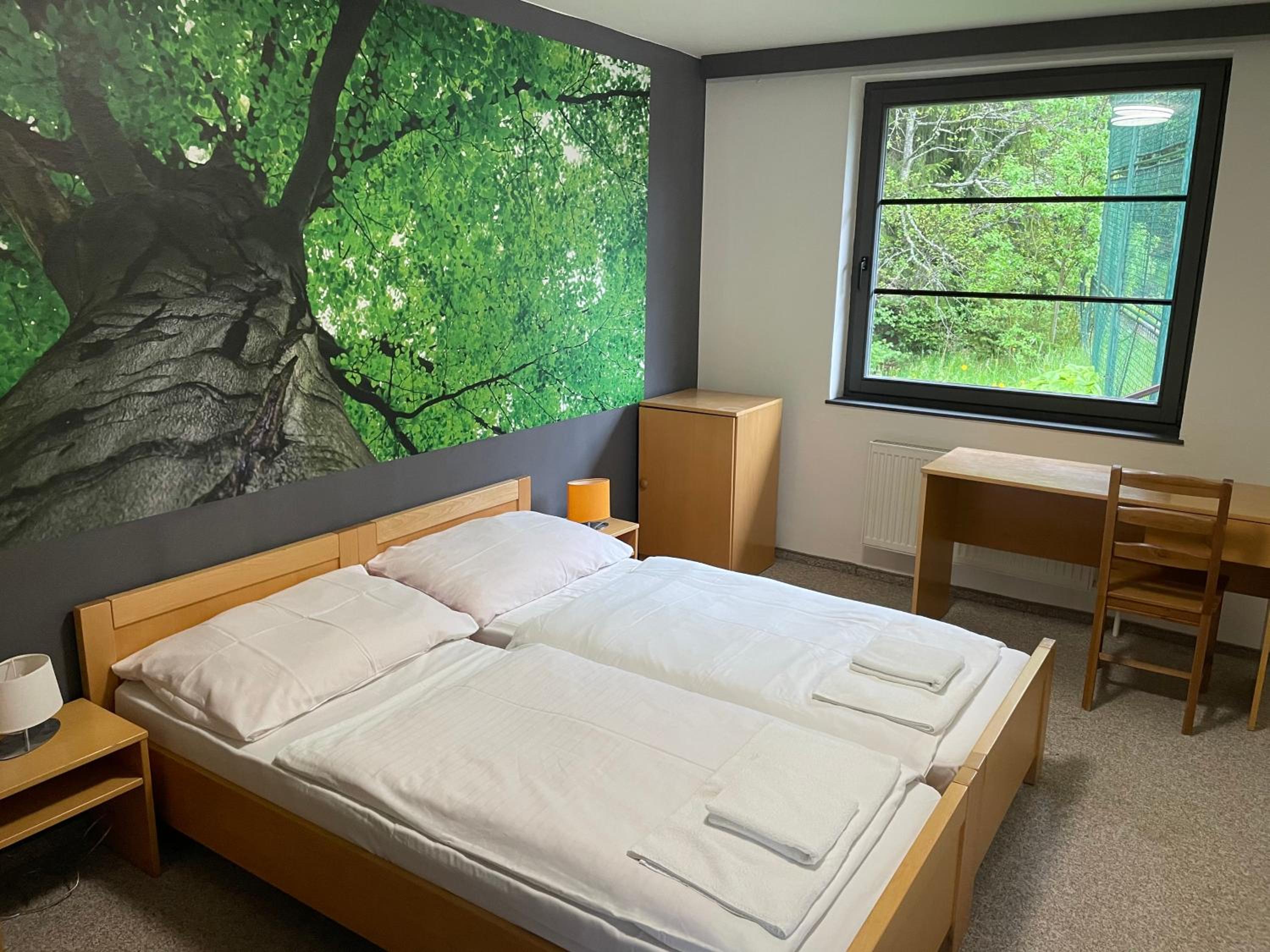 Double or Twin Room with Extra Bed photo 3
