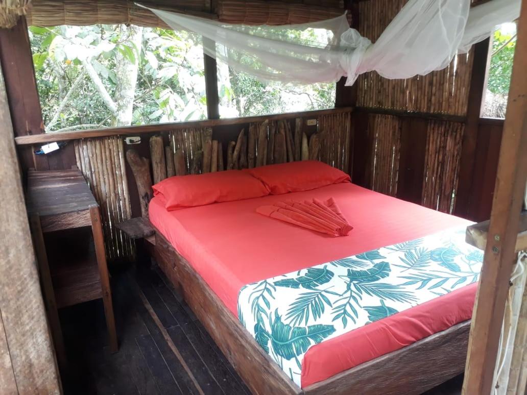 Double Room with Patio photo 3
