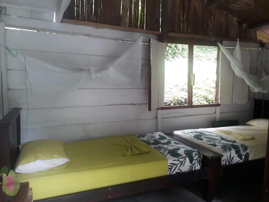 Bunk Bed in Mixed Dormitory Room photo 1