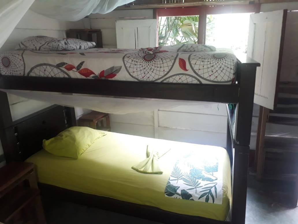 Bunk Bed in Mixed Dormitory Room photo 2
