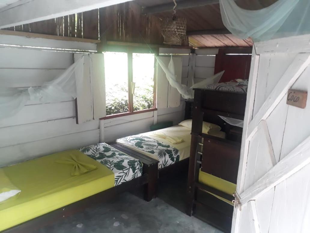 Bunk Bed in Mixed Dormitory Room photo 3