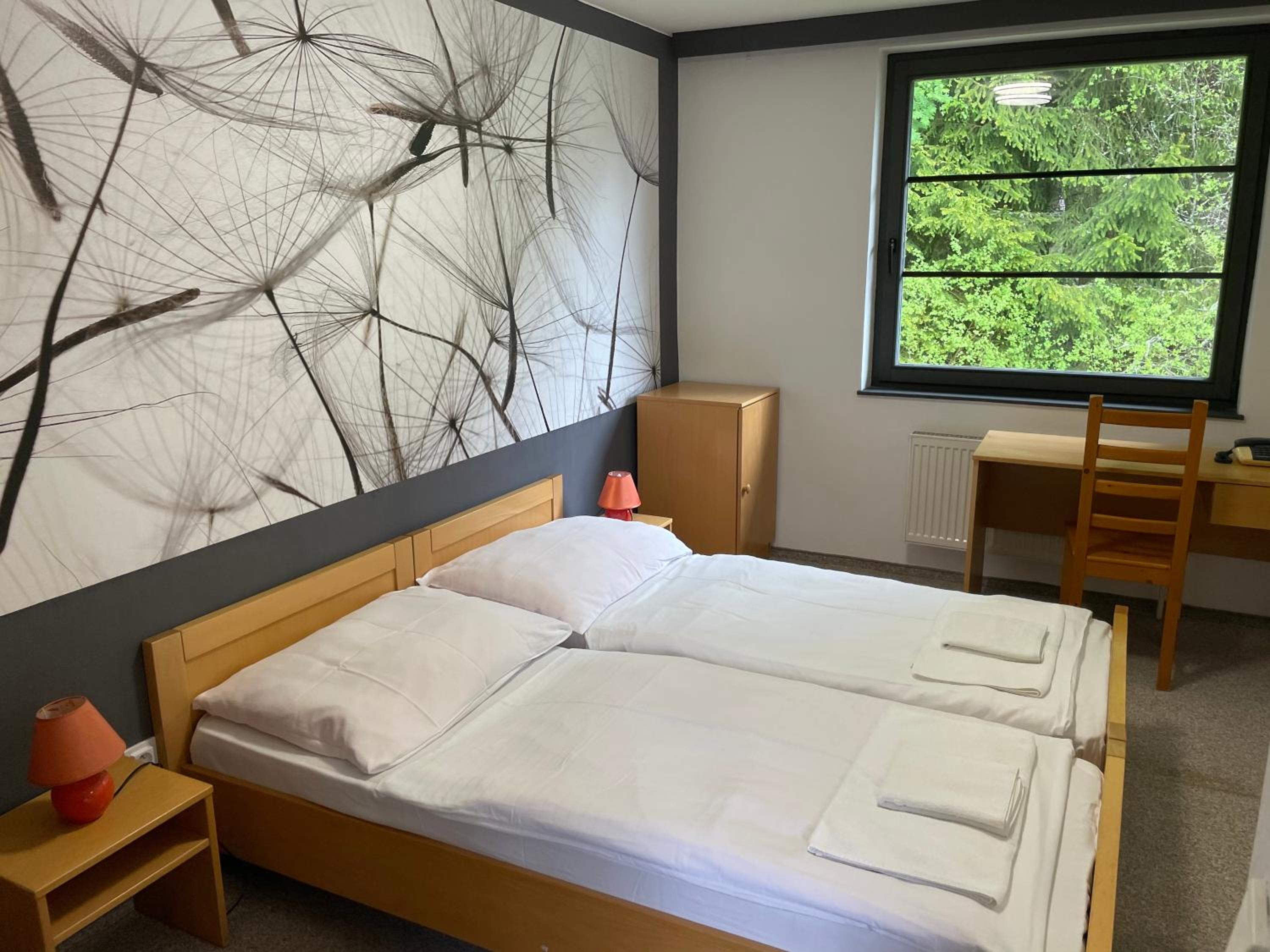 Double or Twin Room photo 1