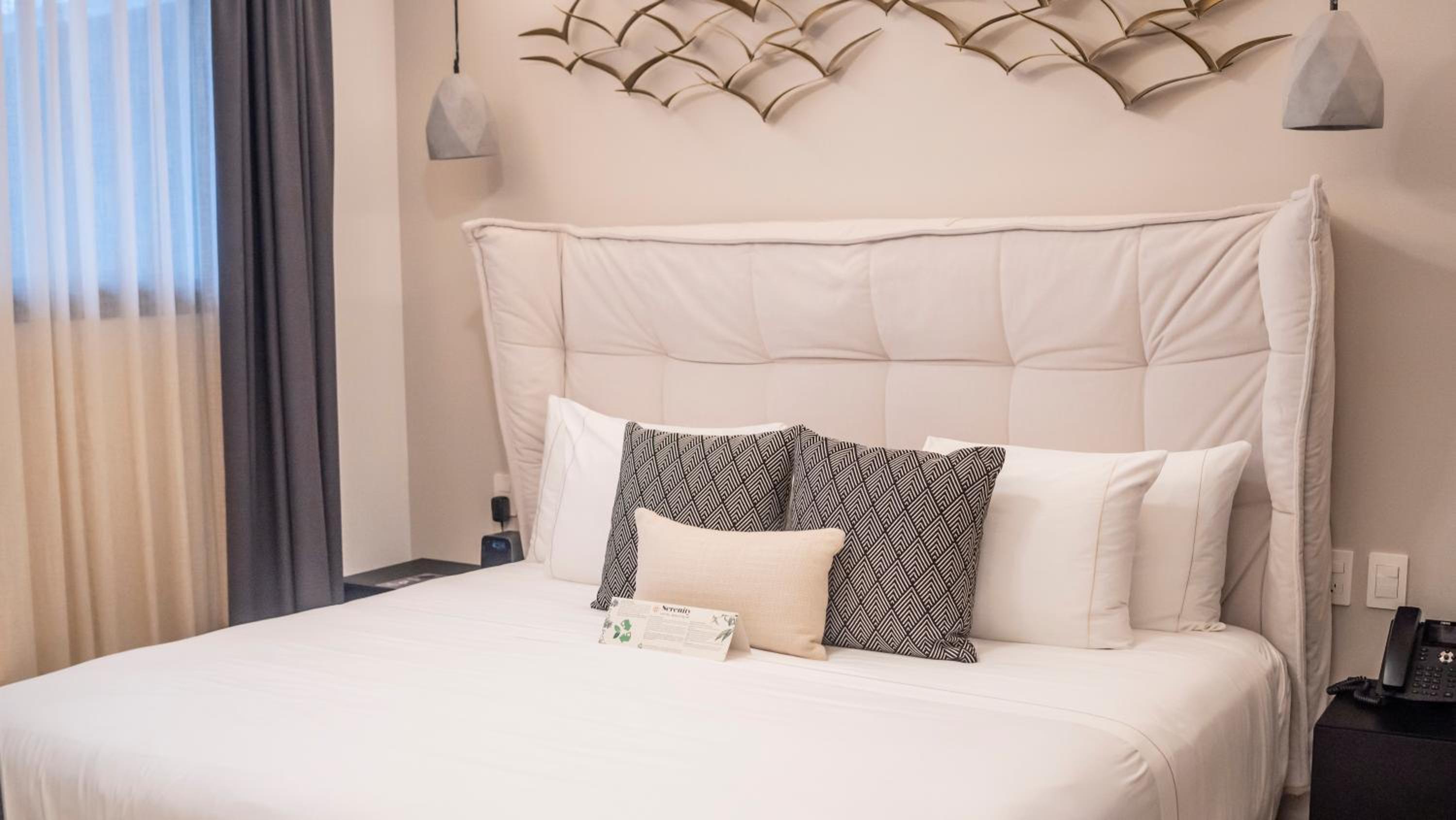 One Bedroom Suite - Photo 10