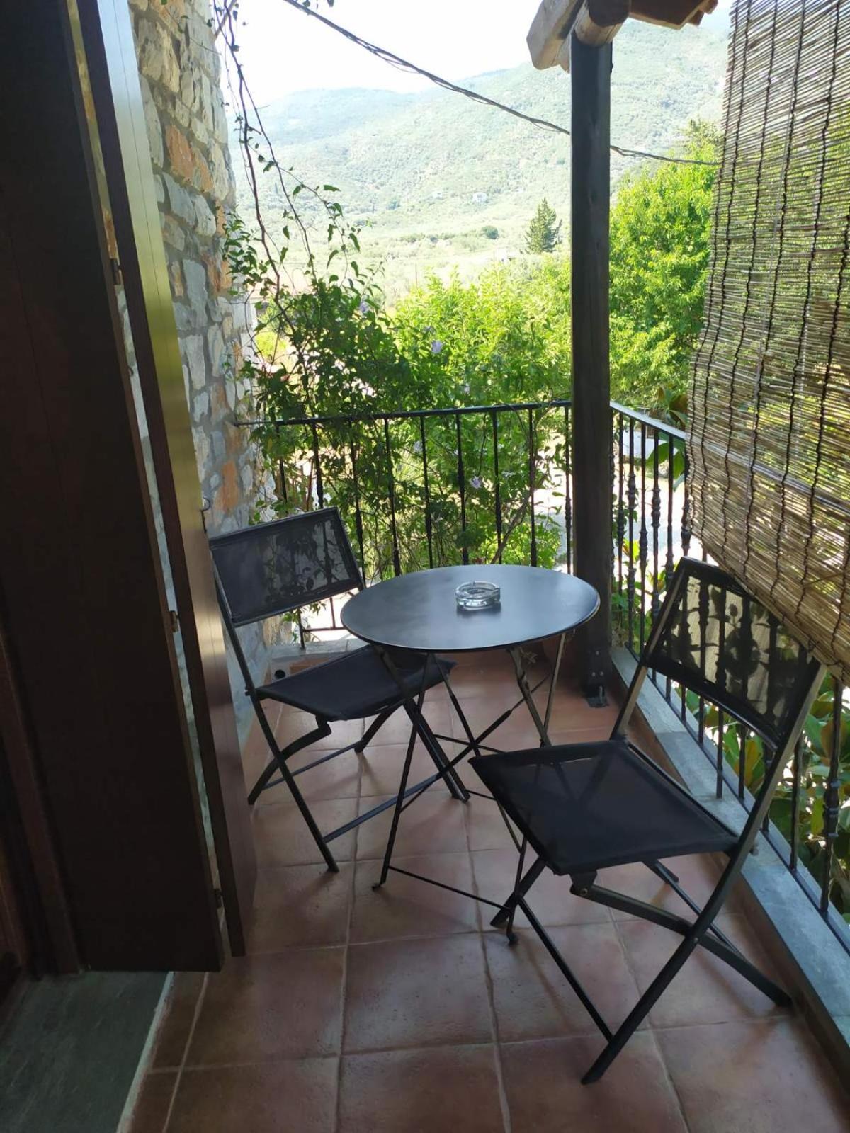 Deluxe Villa photo 3