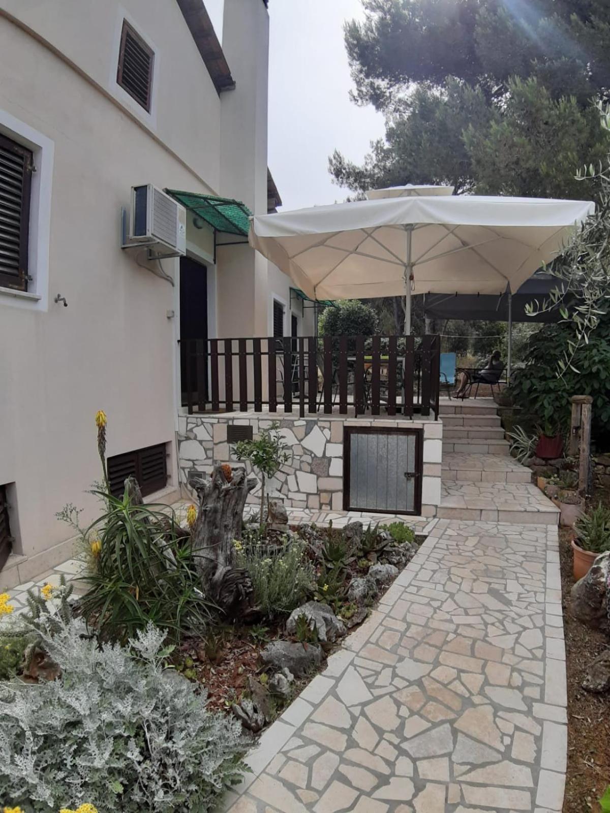 Apartment with Terrace photo 2