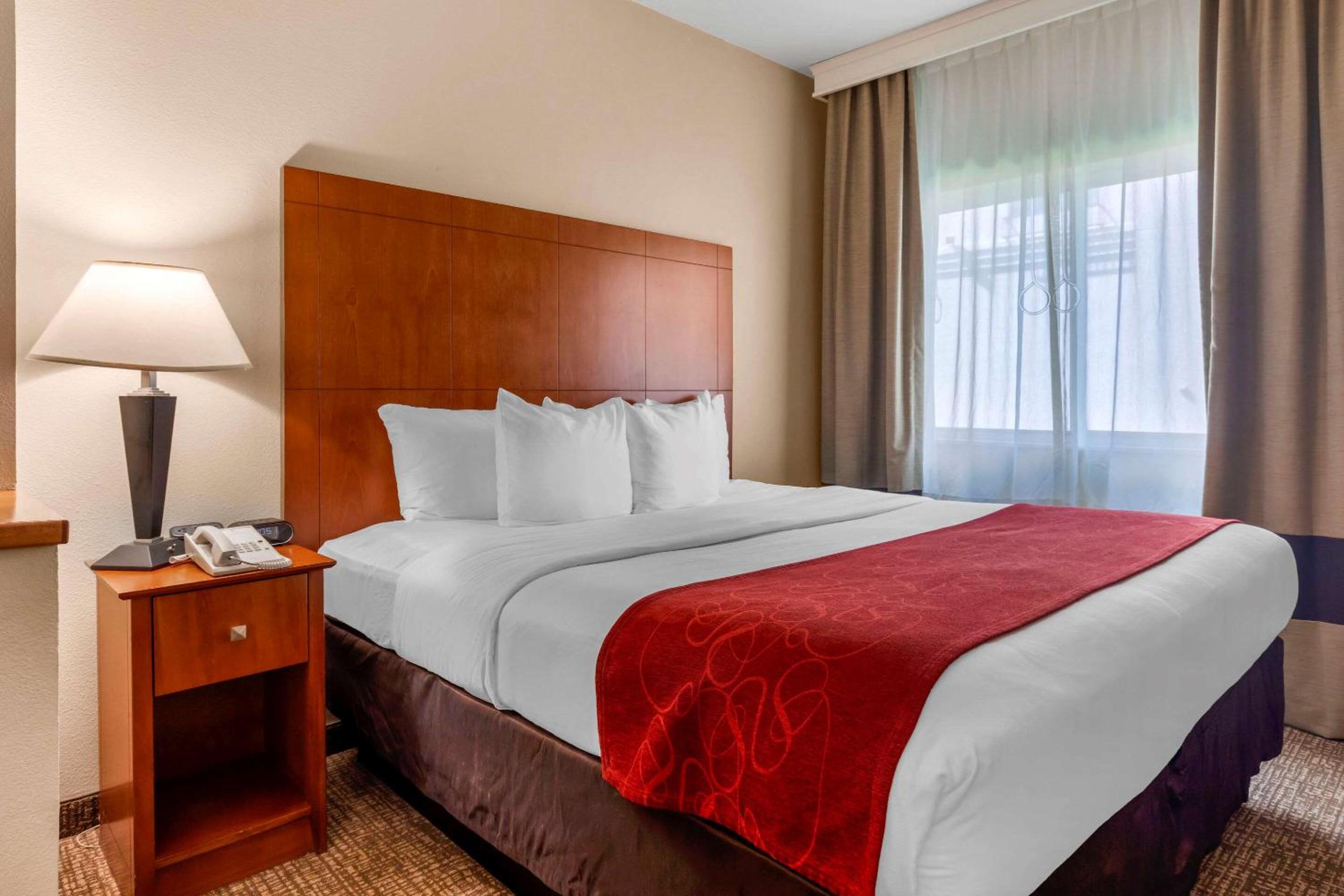 King Suite - Disability Access/Non-Smoking - Photo 5